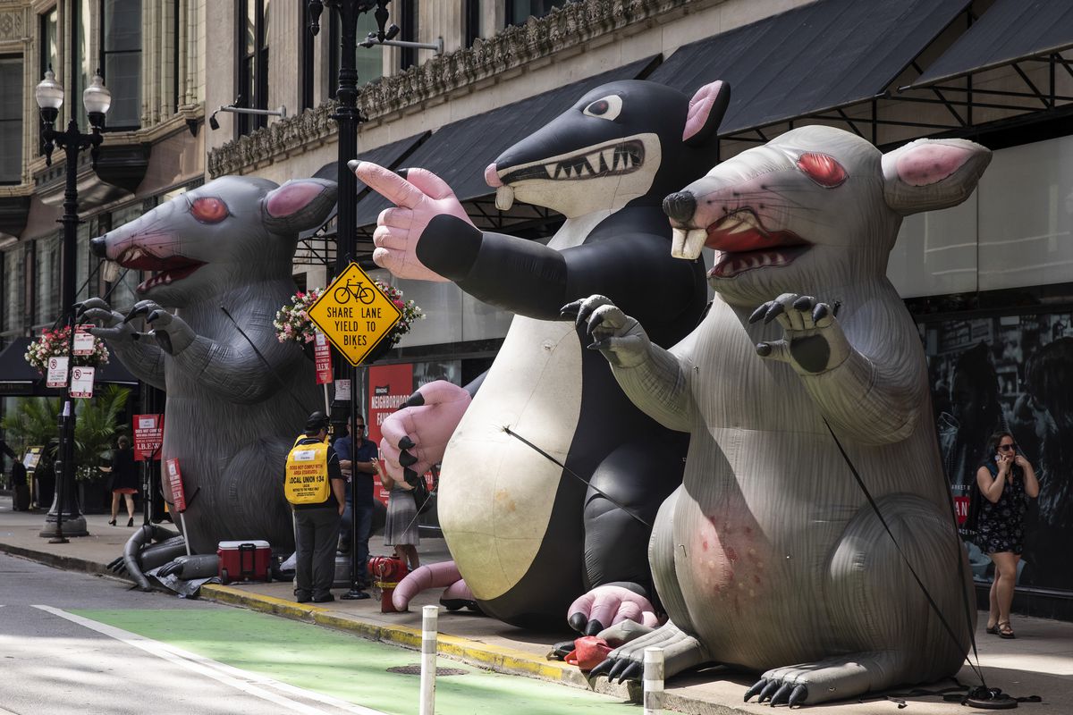 scabby.jpg
