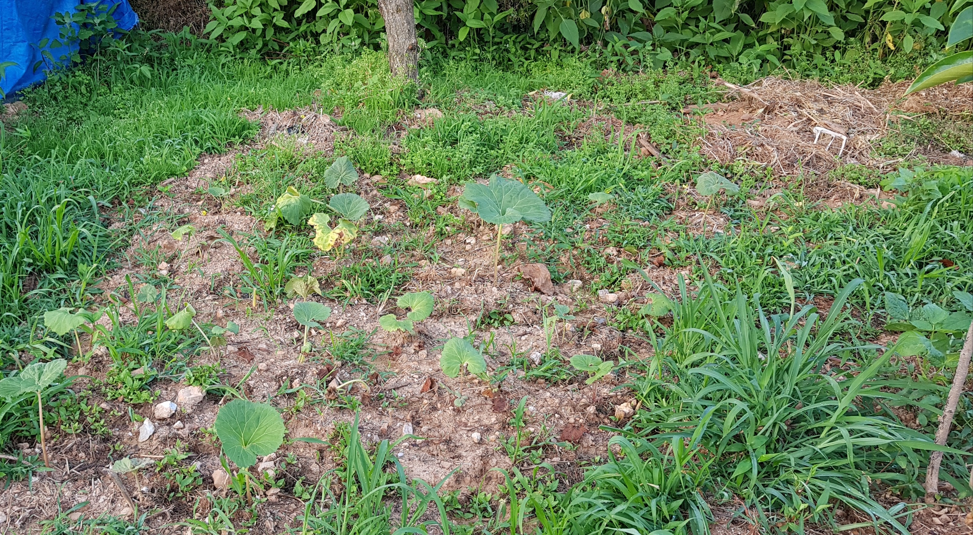 20190619_021308.jpg