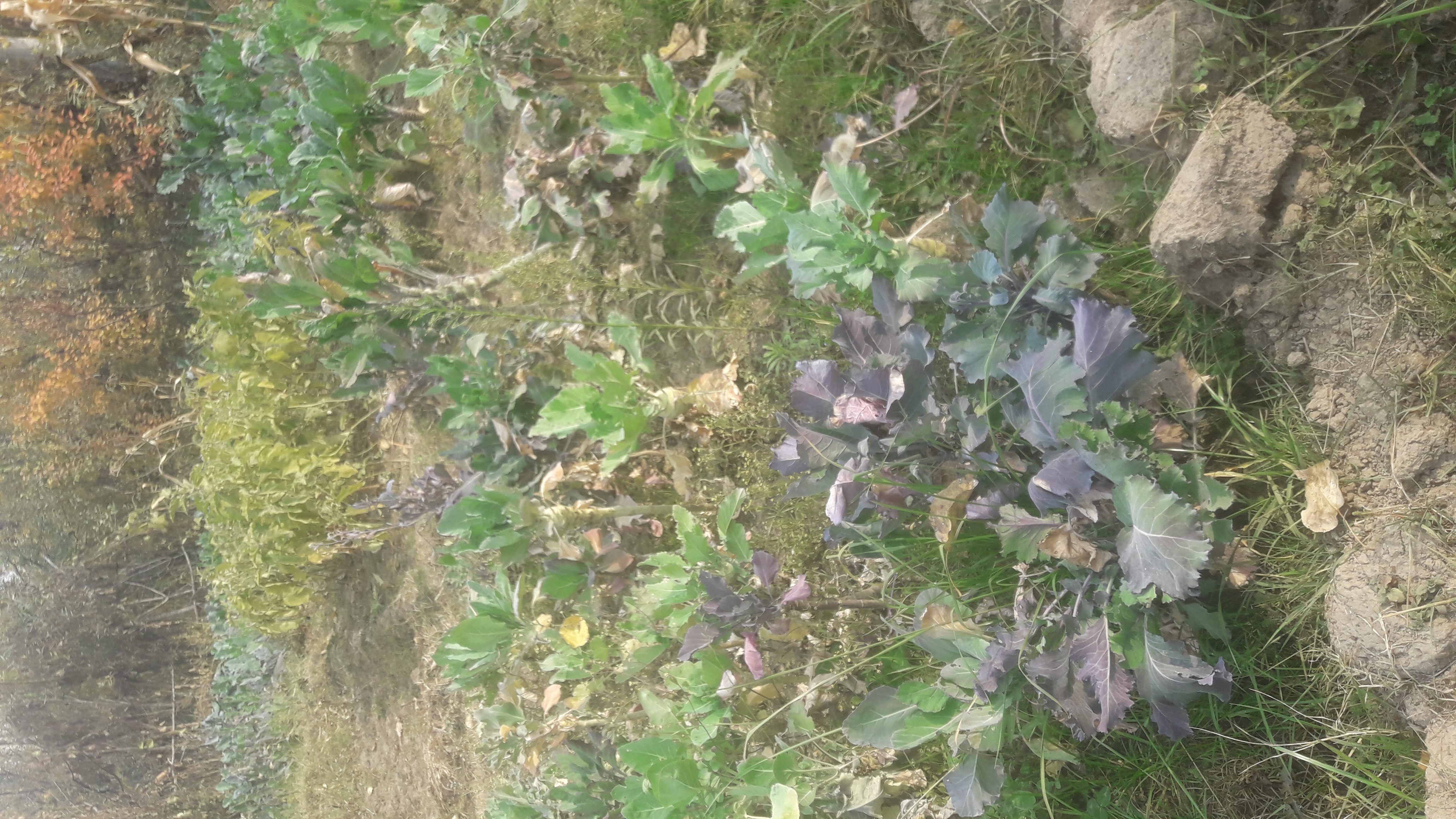 20201112_120516.jpg