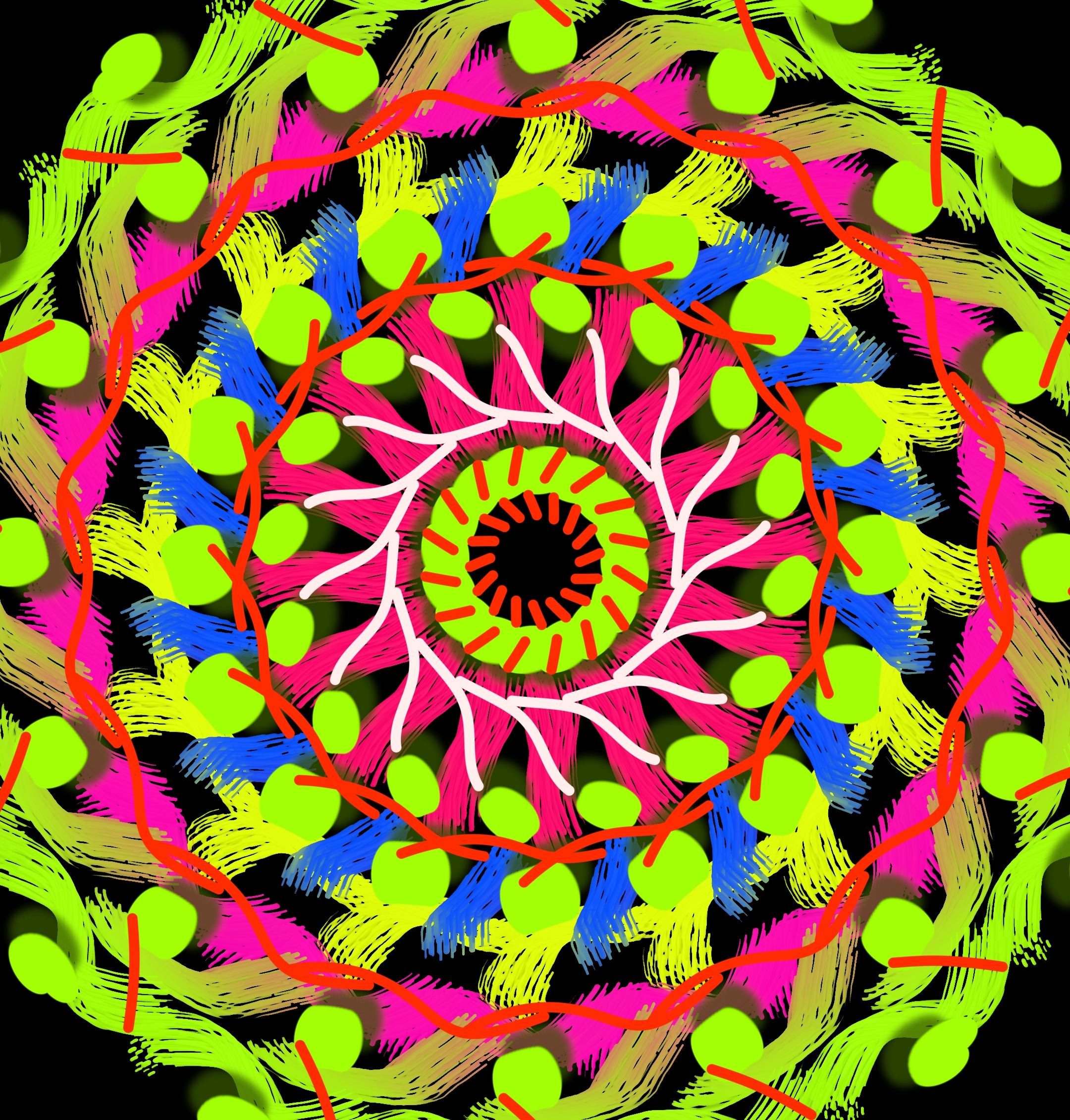 curc (20240722034943).jpg