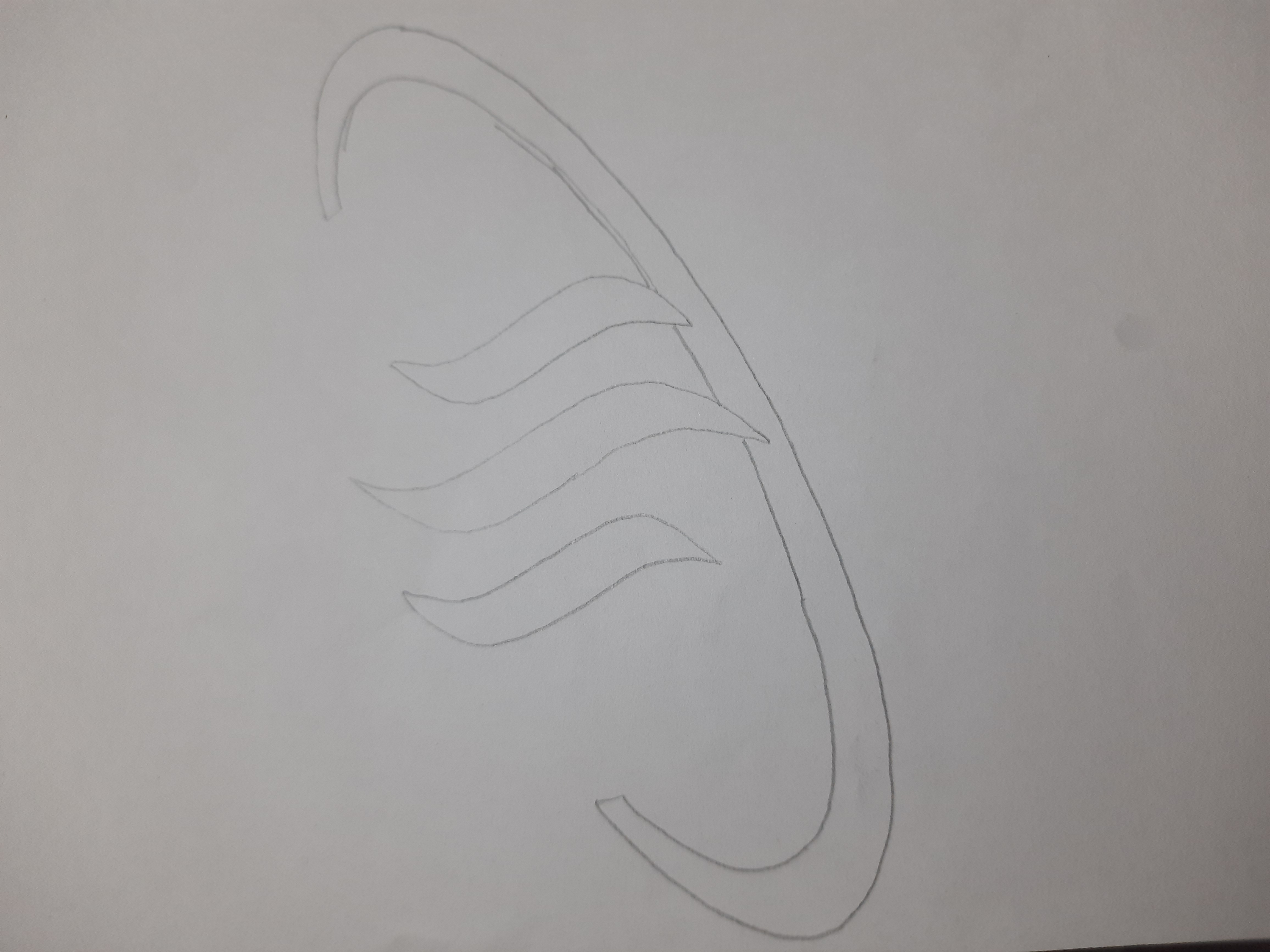 20260809_191559.jpg