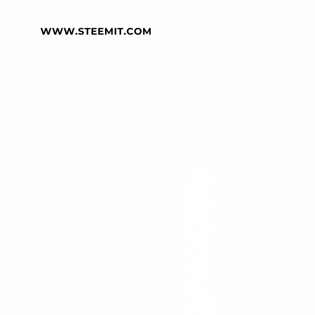 sshila trx (50).gif