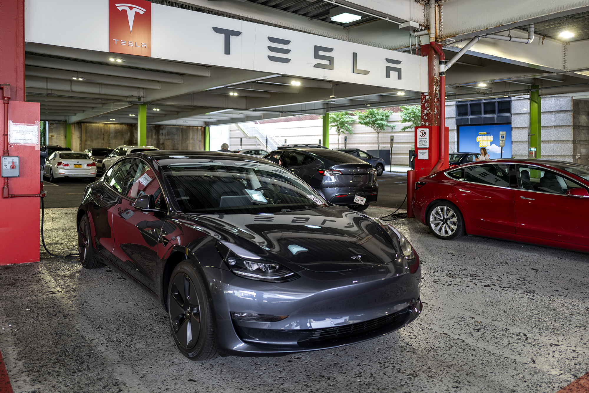 tesla1.jpg