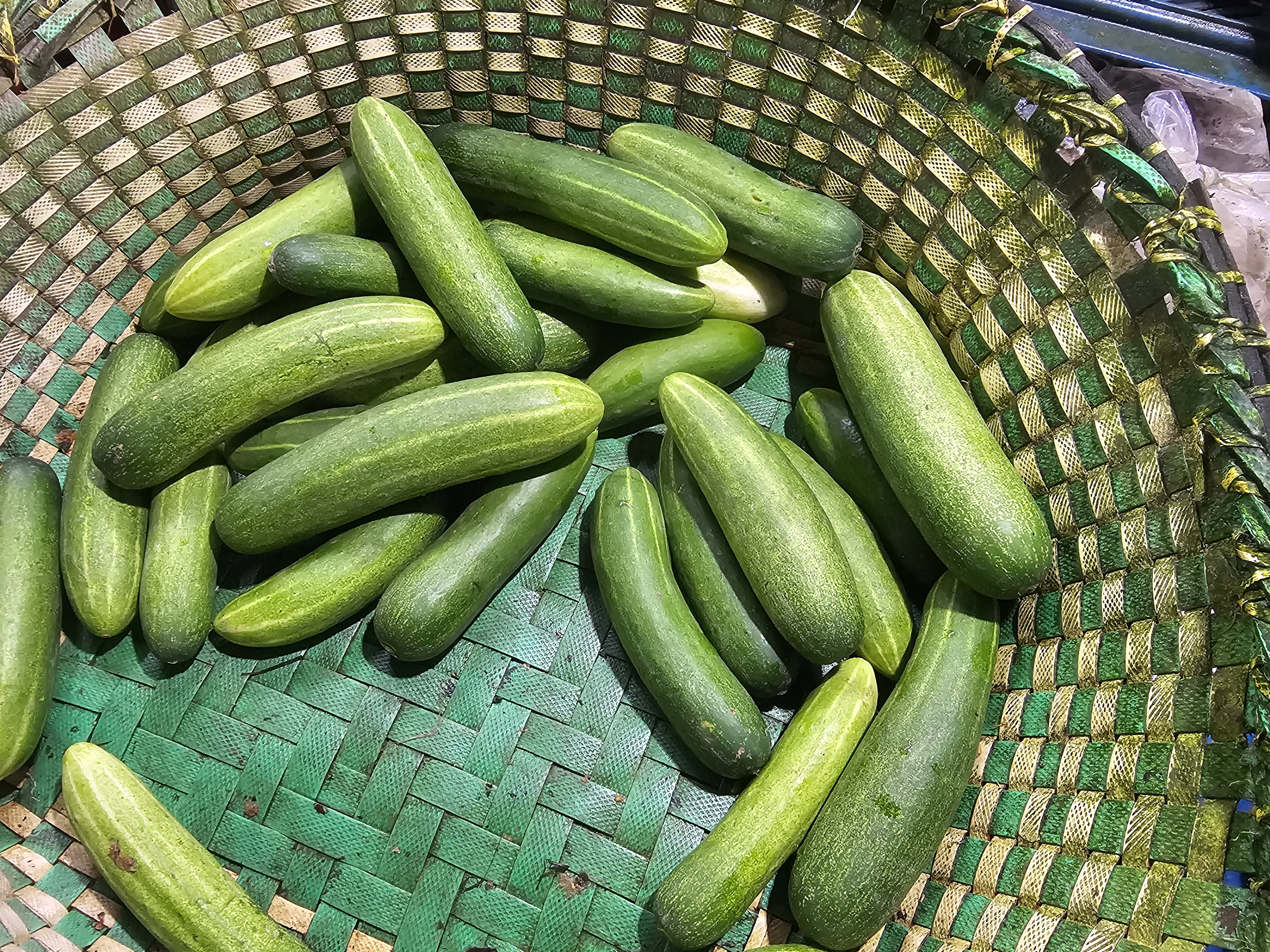 20260802_202031.jpg