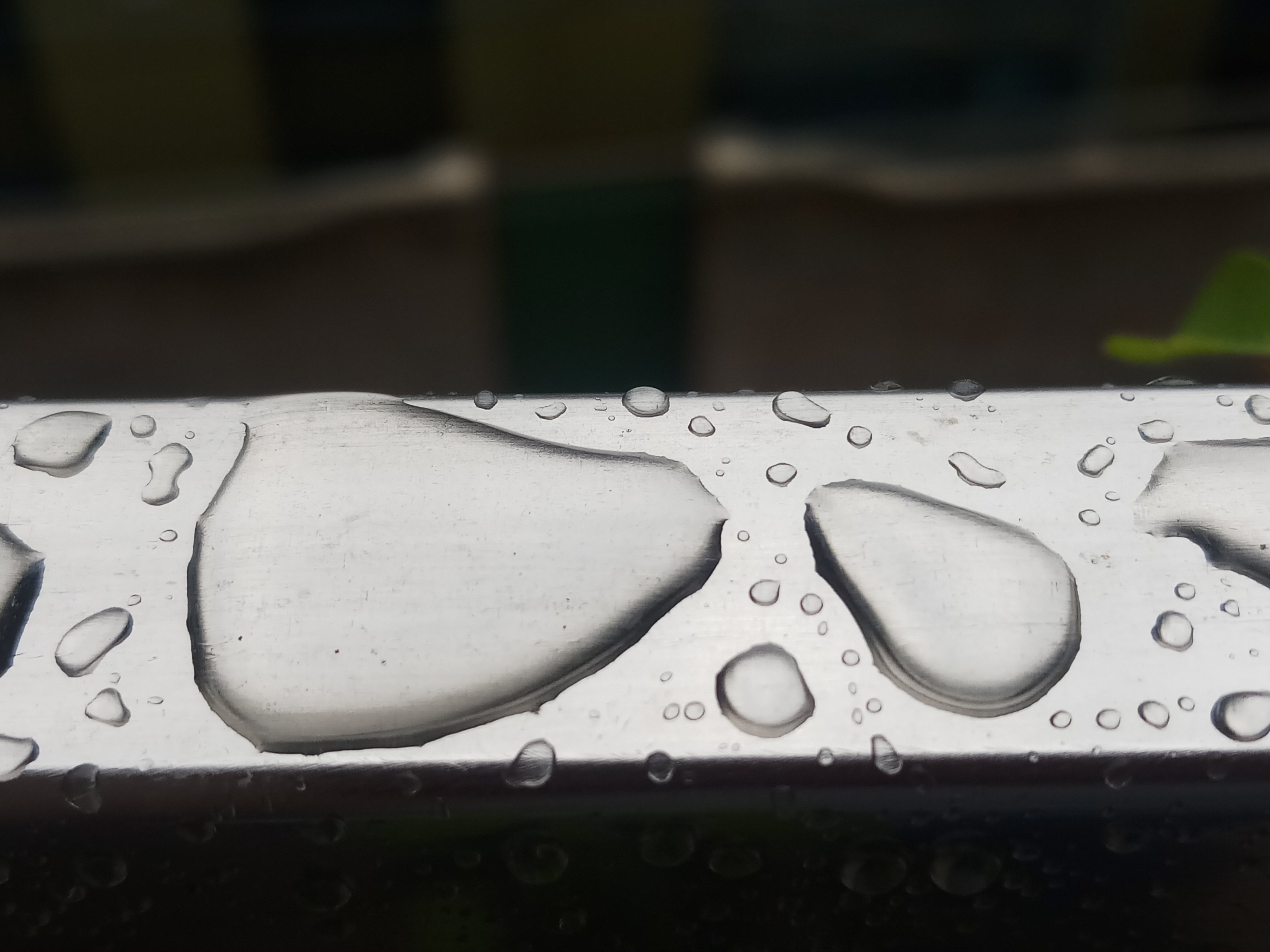 20190912_161232.jpg