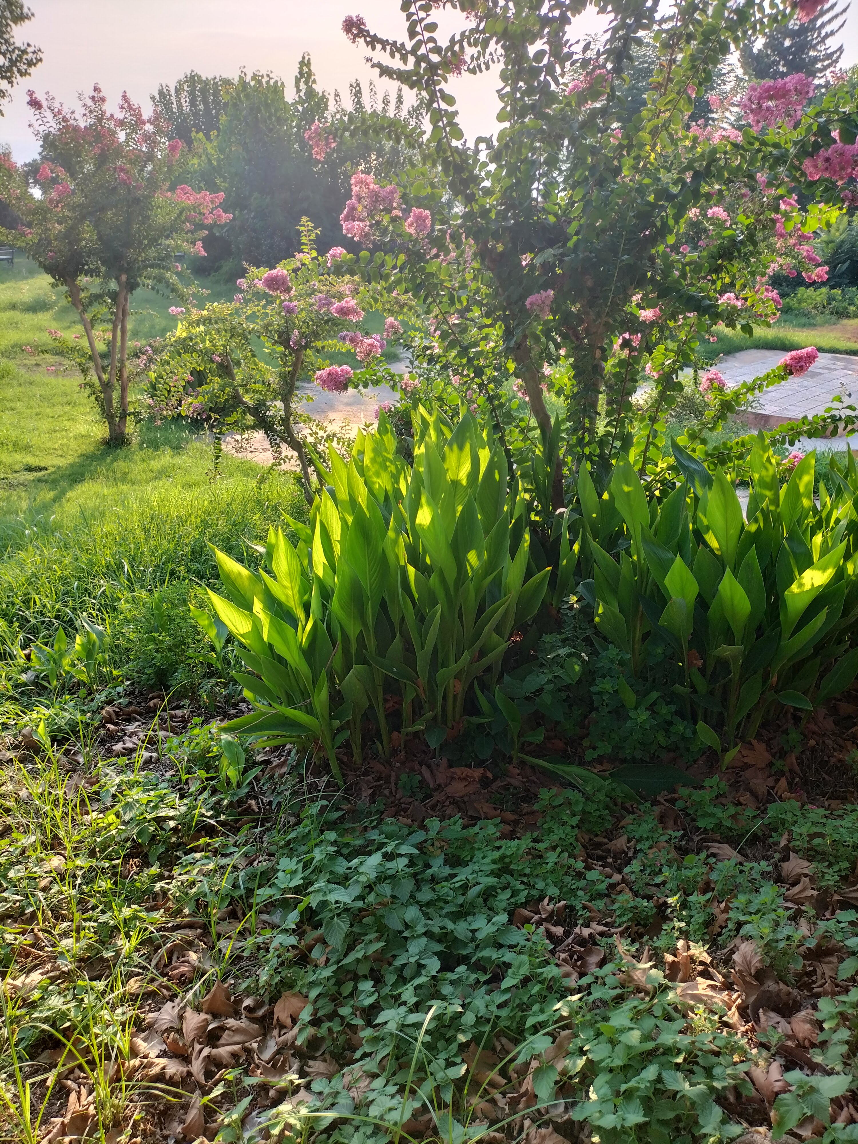 IMG20220814182911.jpg