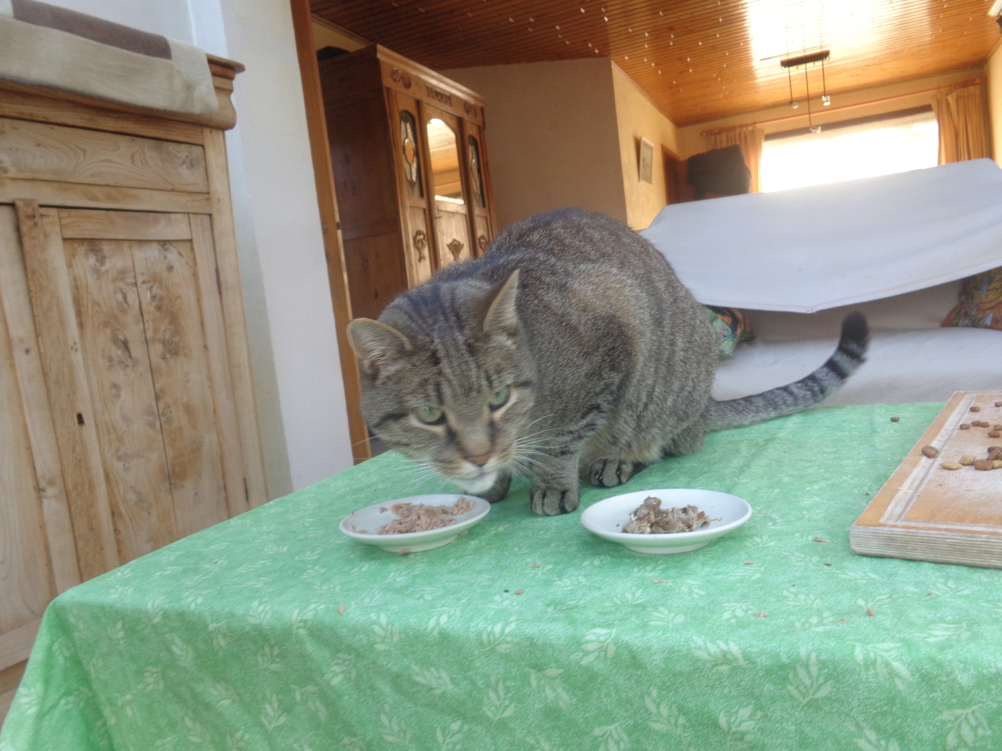 DSC02137.JPG