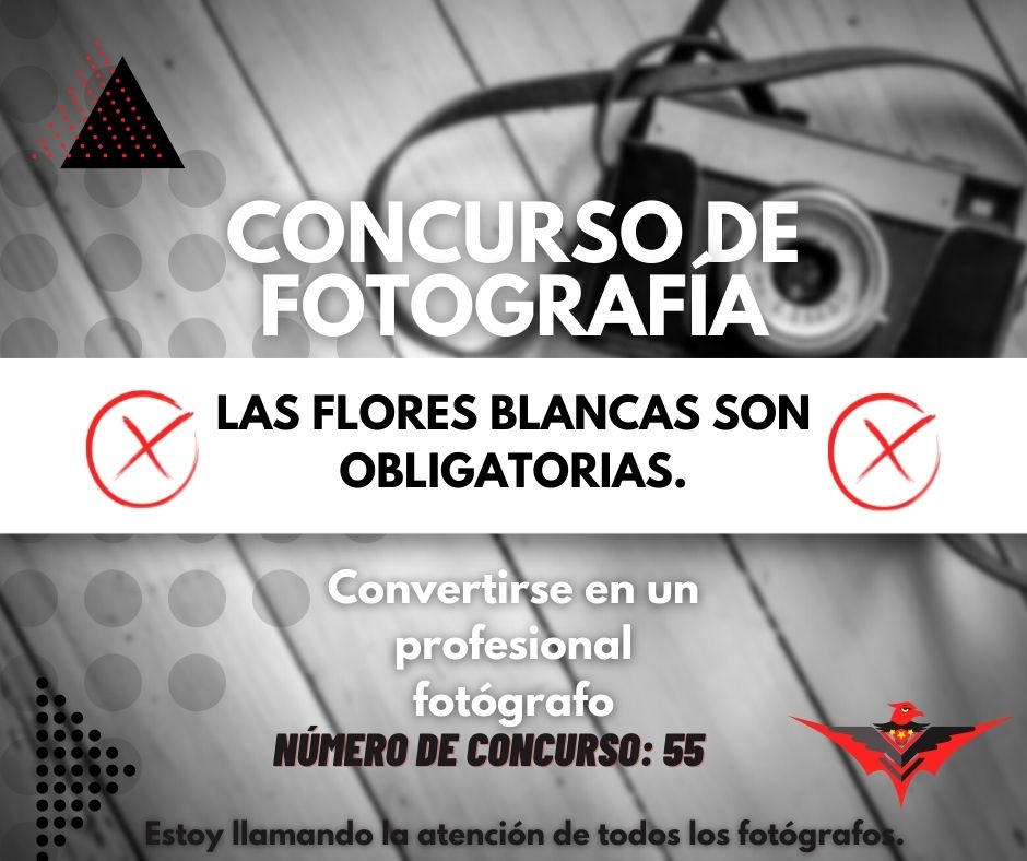 Flowers photography Contest (3).jpg