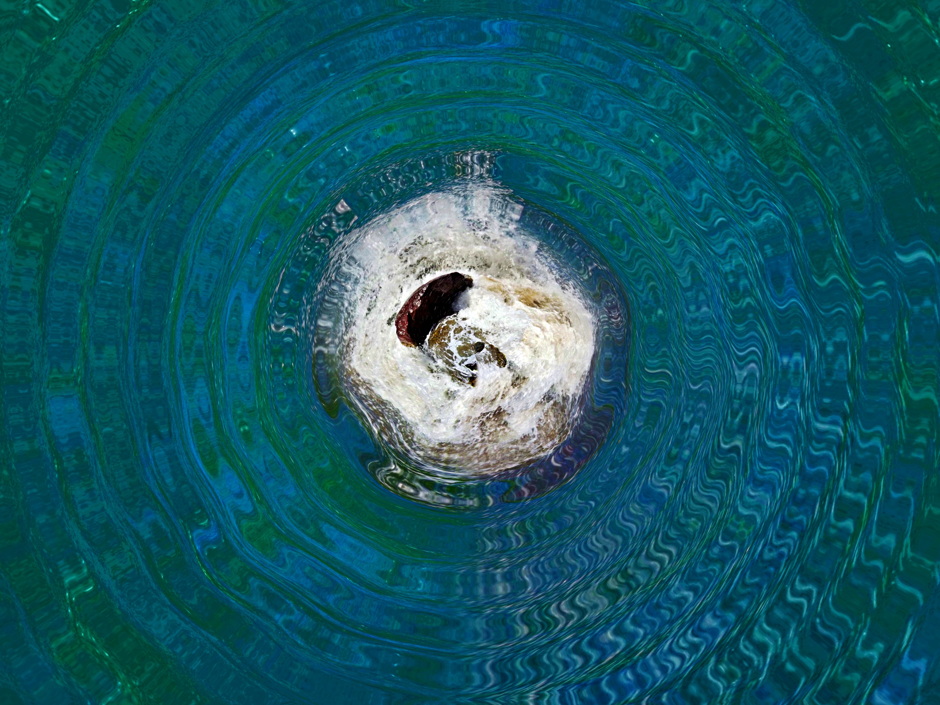 DSCF3654.JPG