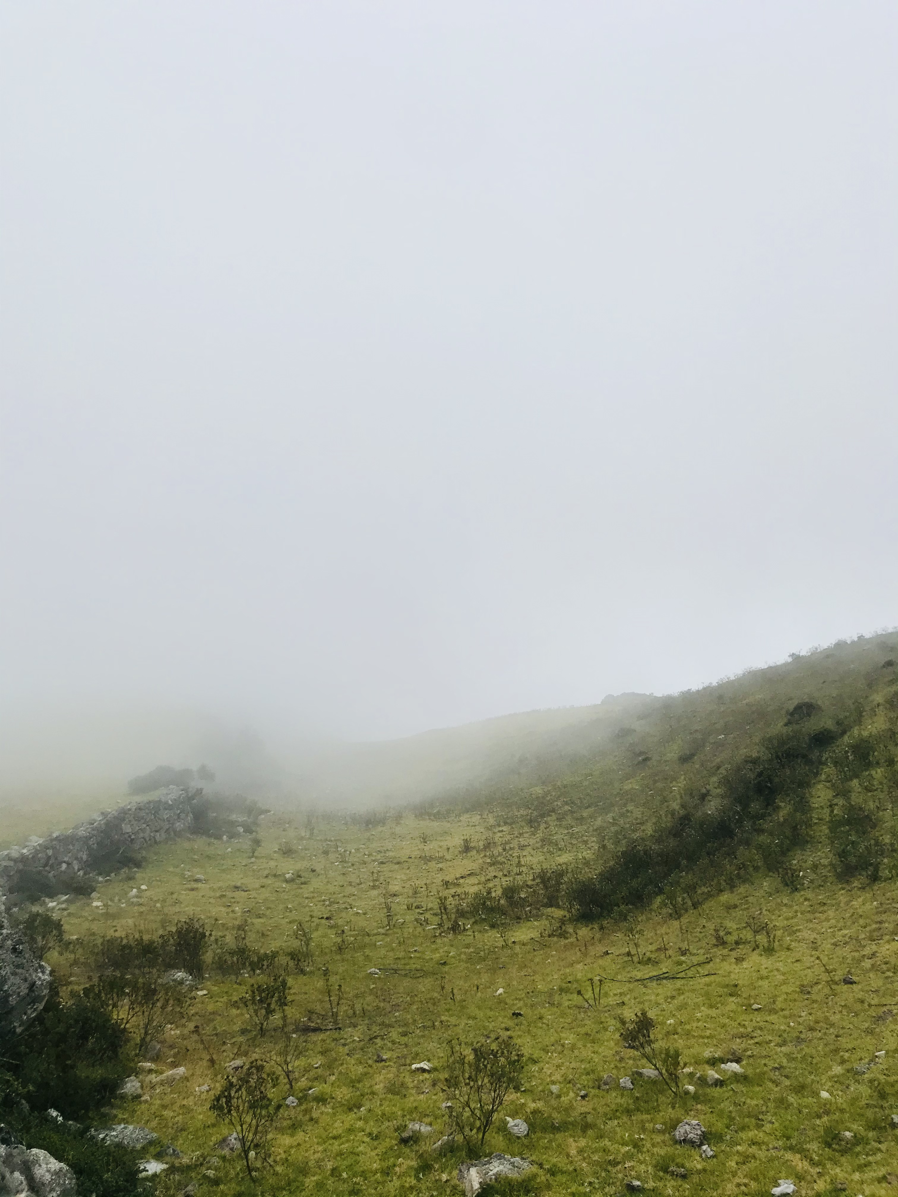 50186D06-7D1C-4627-8633-49473CA82CA4.jpeg