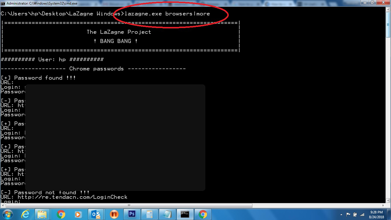 8. Visible Passwords-Browser.jpg