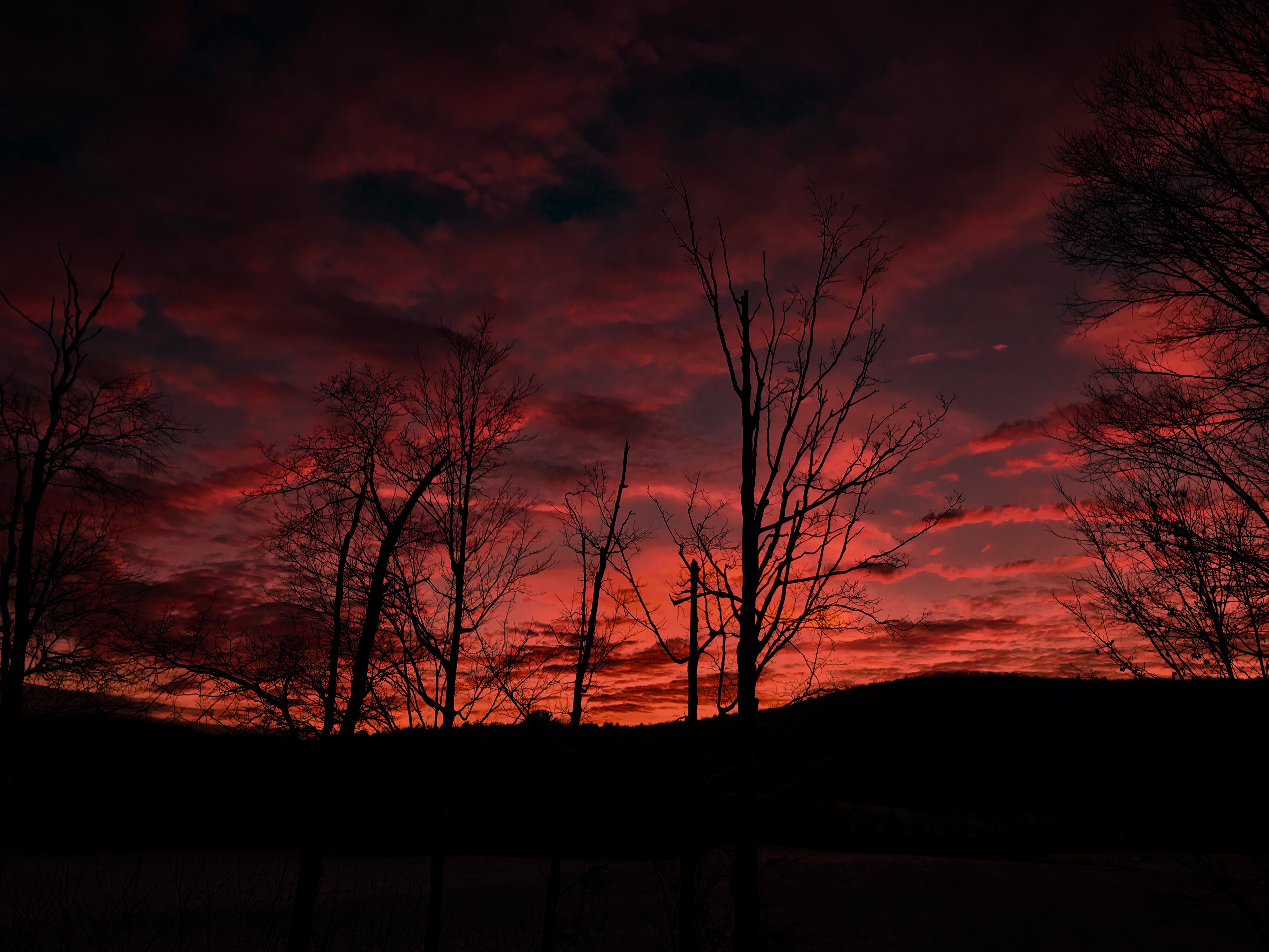 78147633-5908-4AB0-9638-4D283DAB30D7.jpeg