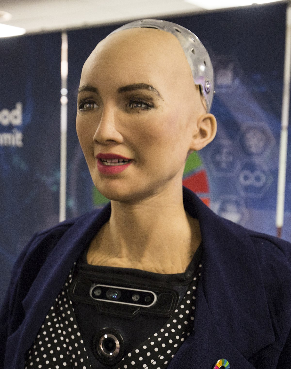 1200px-Sophia_at_the_AI_for_Good_Global_Summit_2018_(27254369347)_(cropped).jpg
