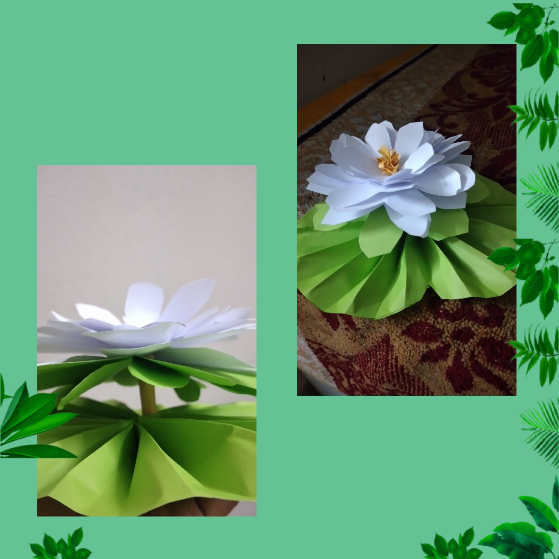 CollageMaker_20237213354472.jpg