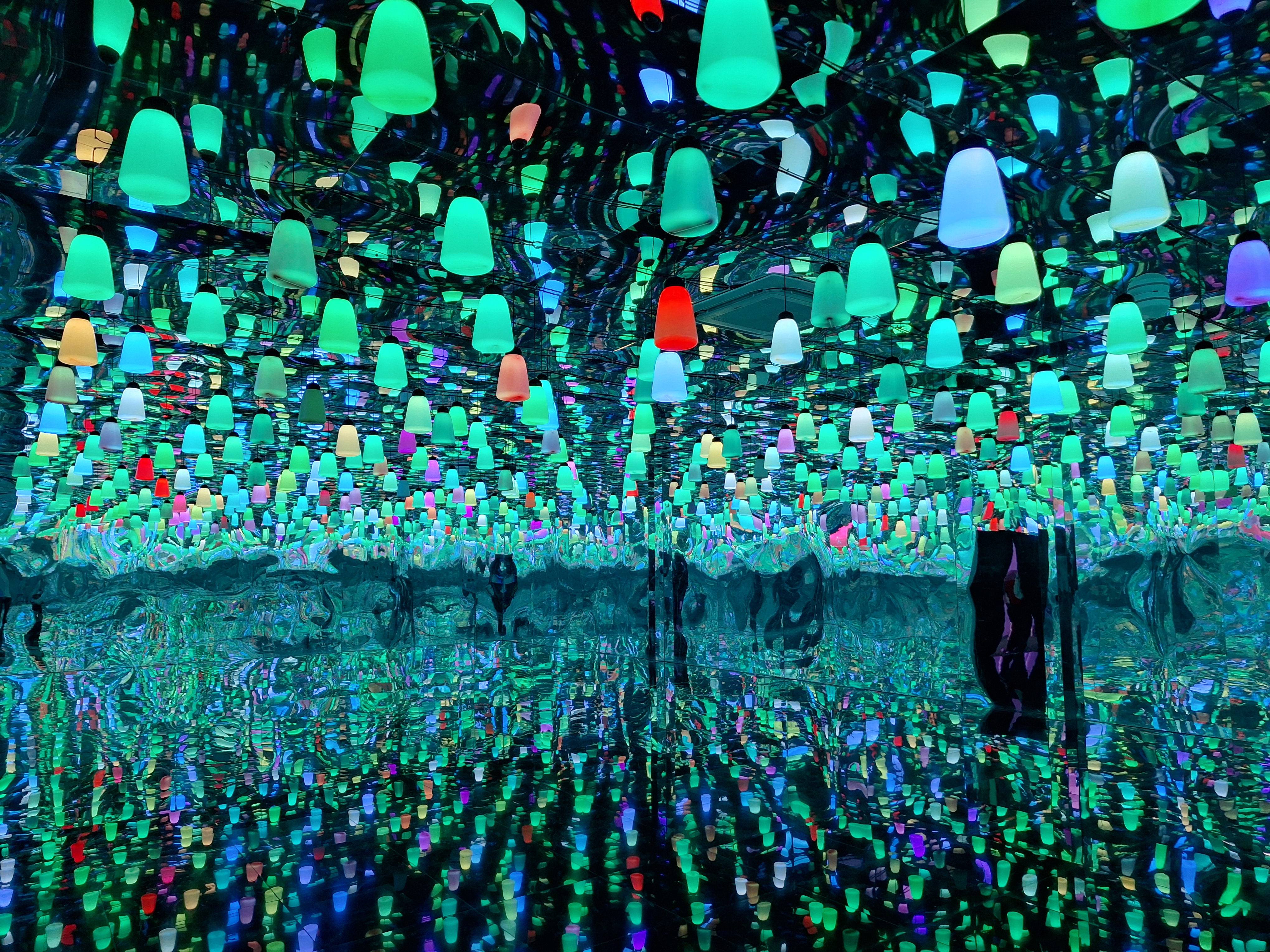 1000564870.jpg