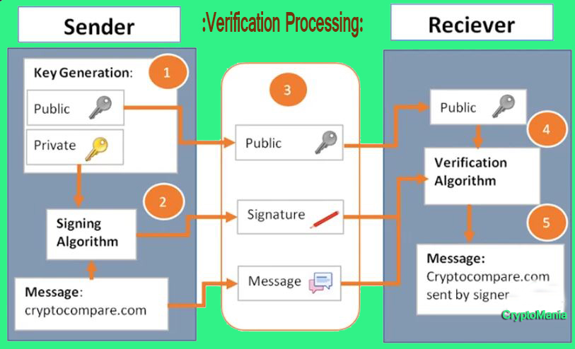 BTC PAY VERIFICATION.JPG