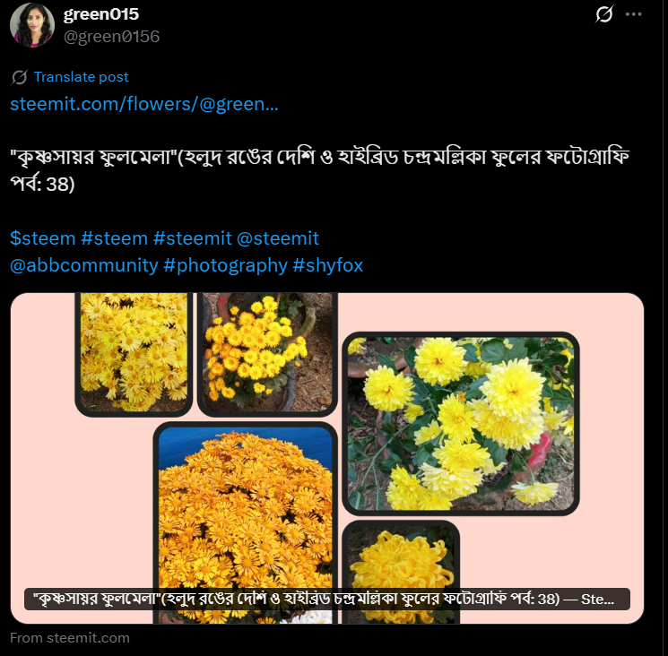Screenshot 2025-09-25 172959.png