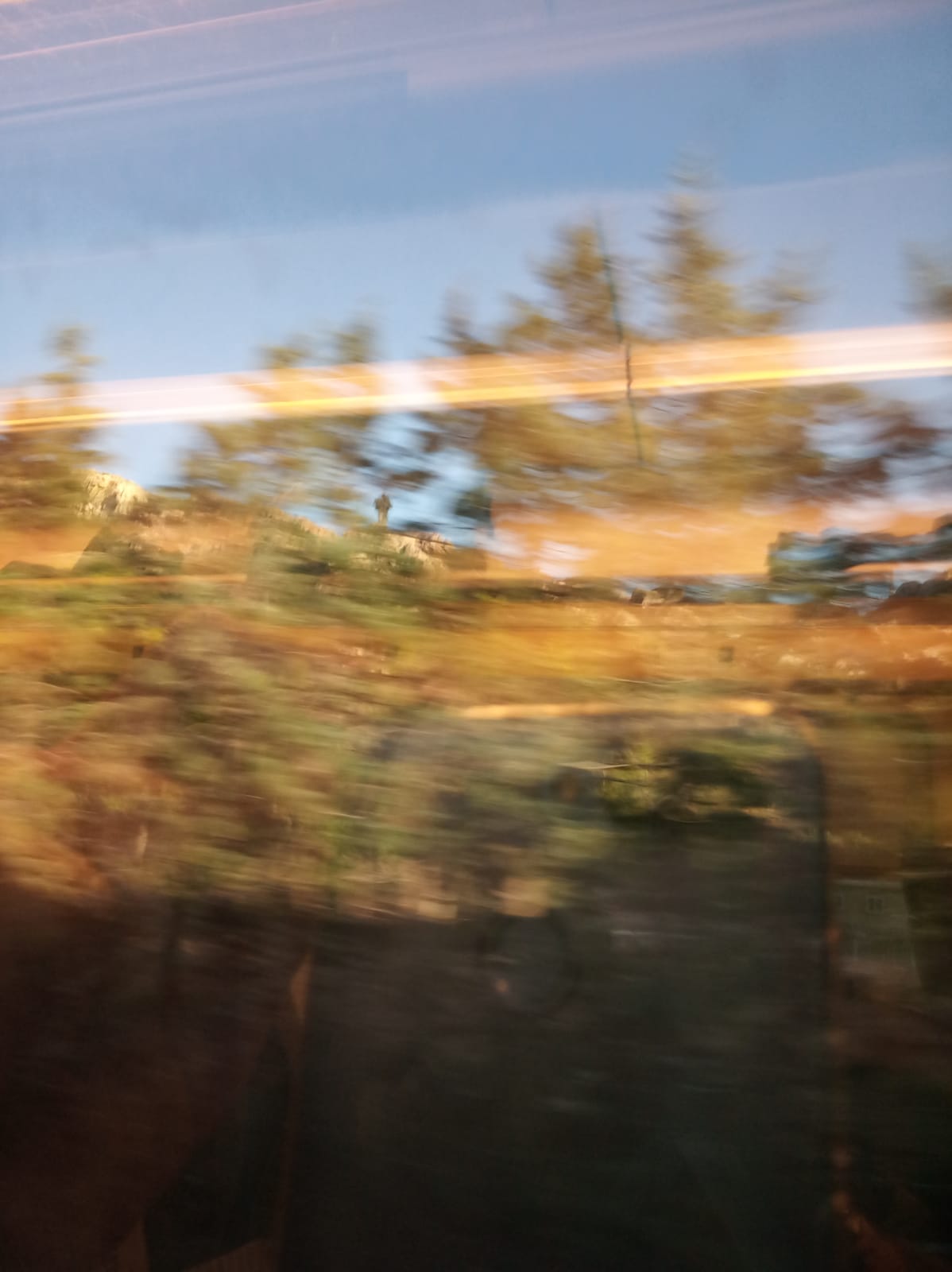 main_image