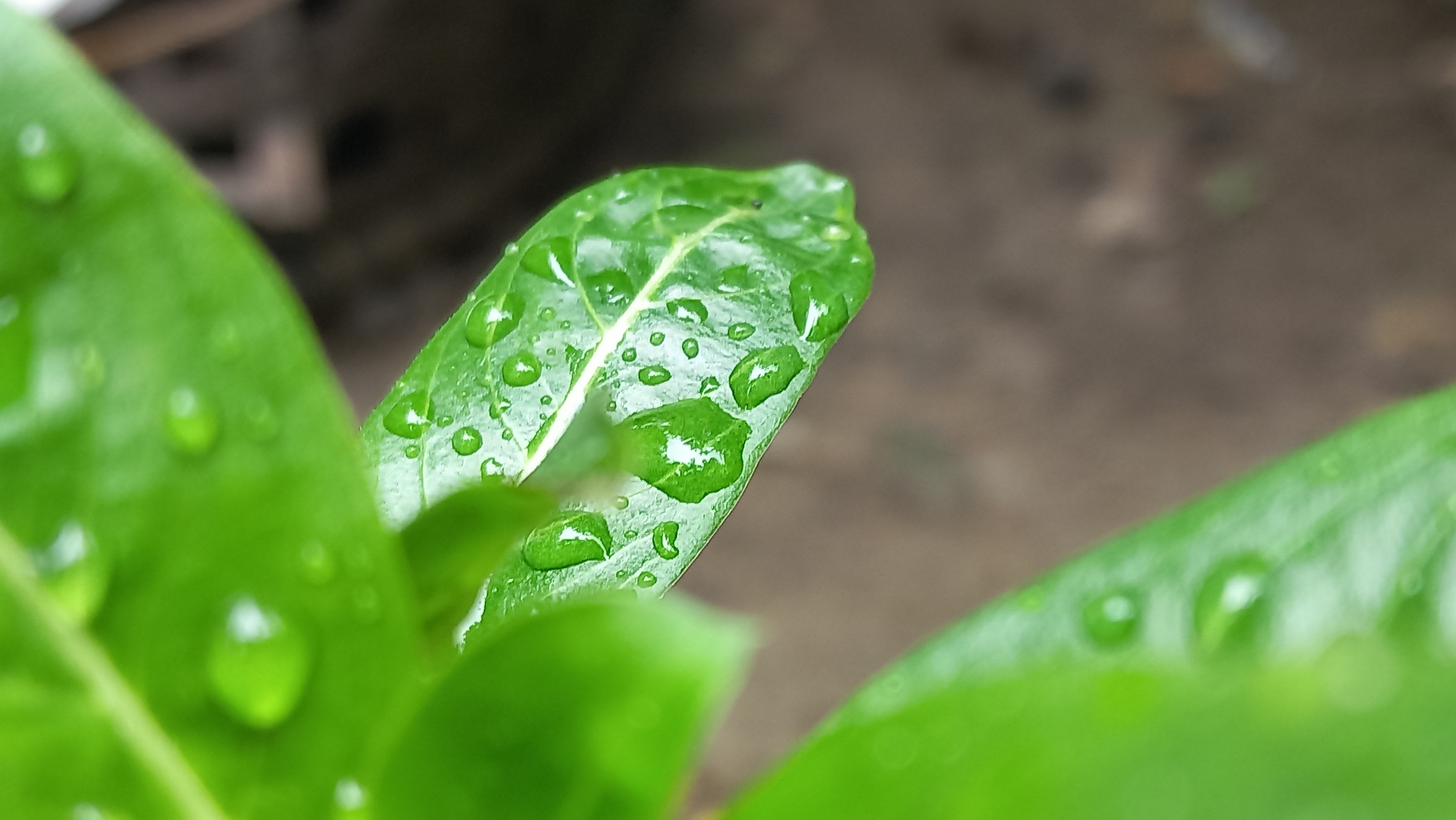 20260625_122331.jpg