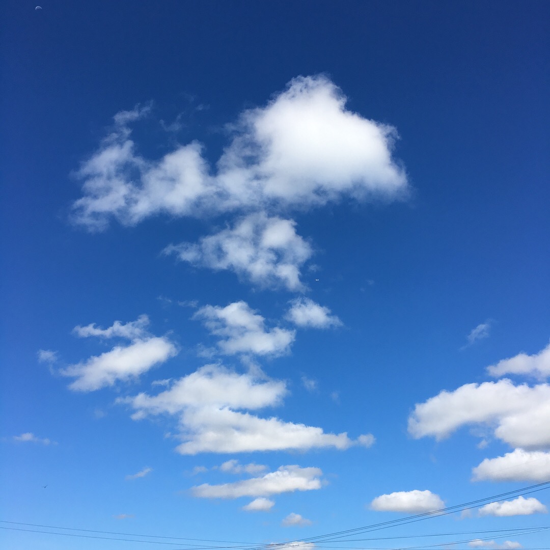 388C061F-1704-470A-A11A-5375394110C4.jpeg