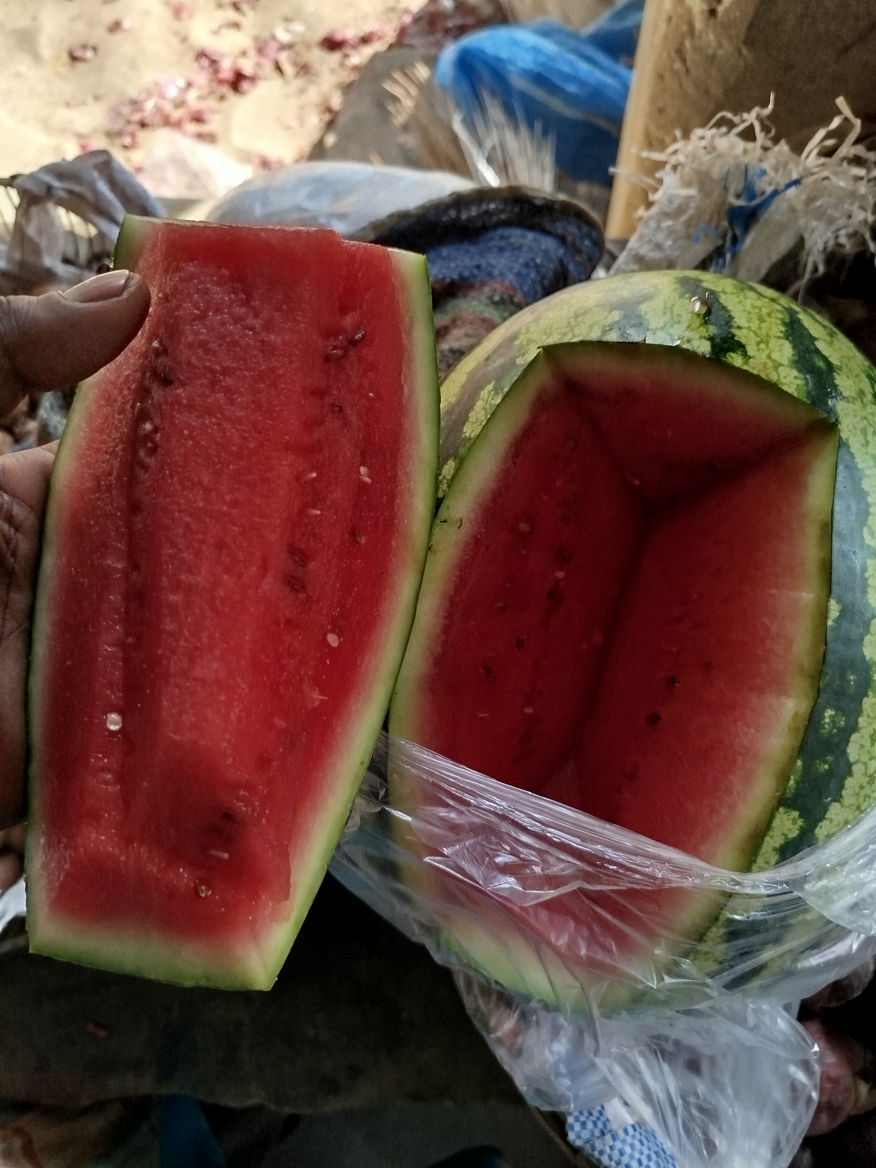 1000016510.jpg