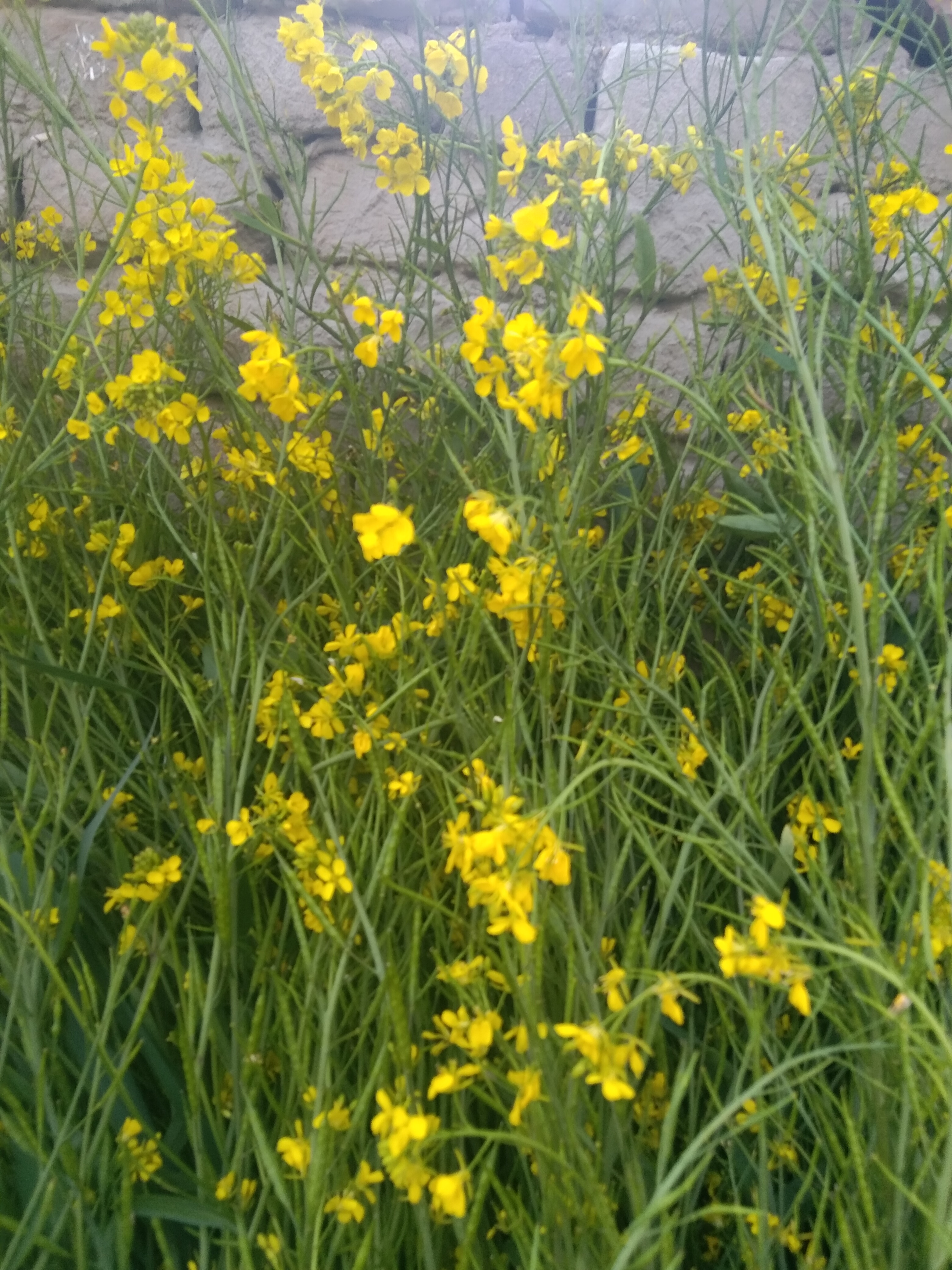 IMG_20220117_170417.jpg