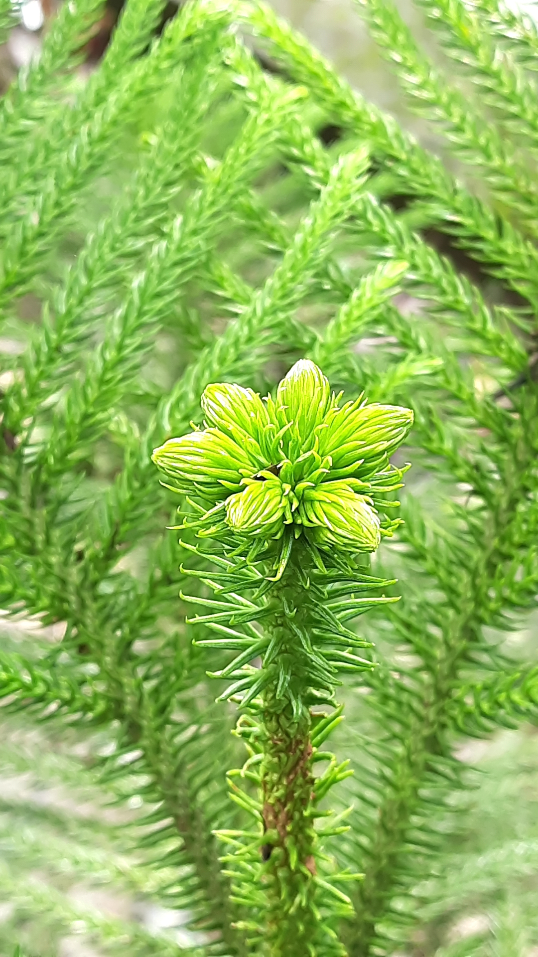 20201025_104930.jpg