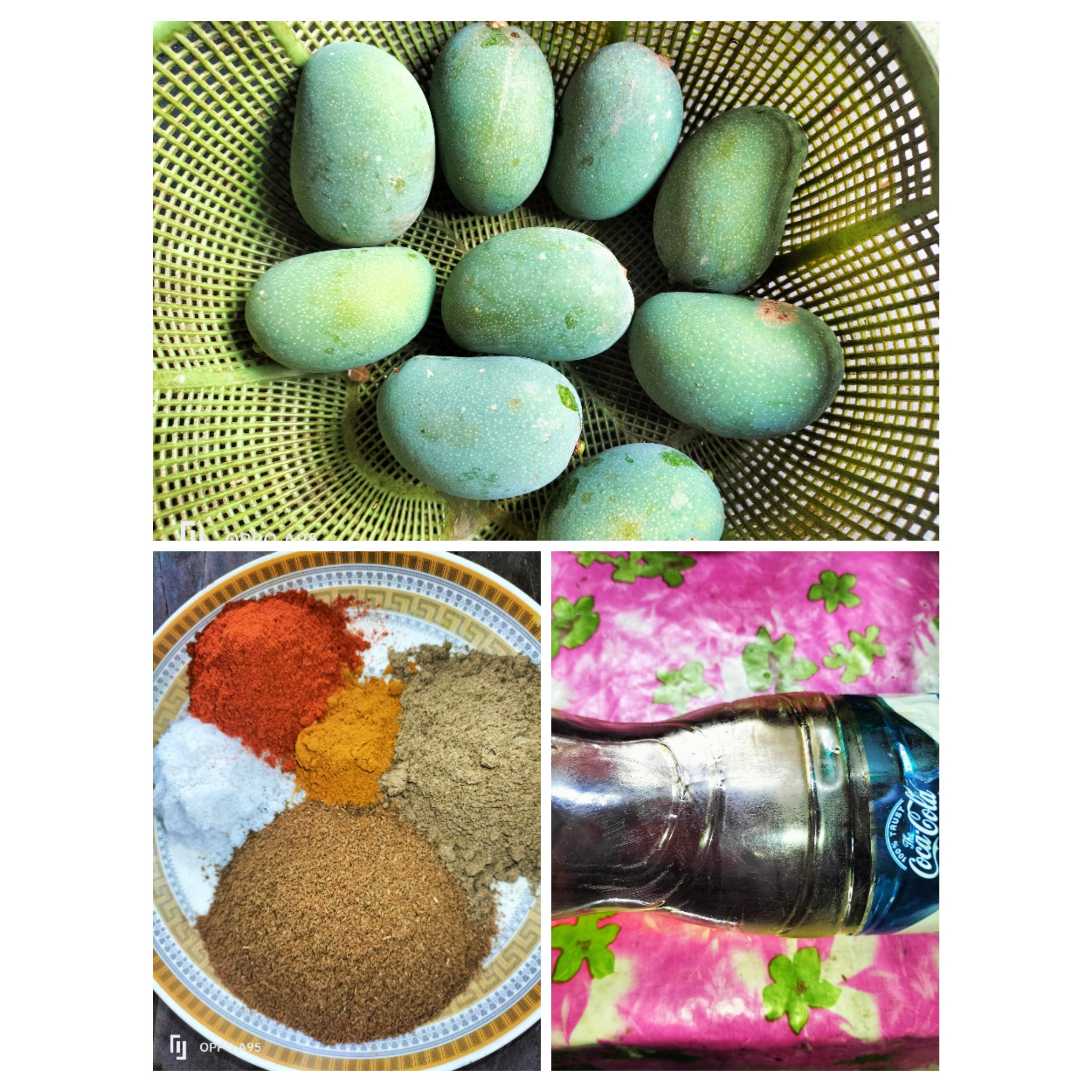 PhotoCollage_1717770960106.jpg