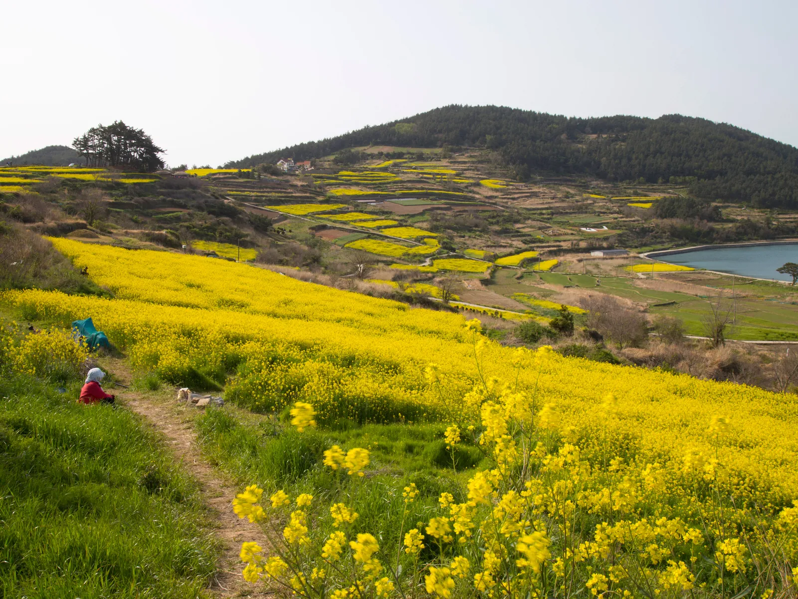 Cheongsando-Island-GettyImages-592692256.webp