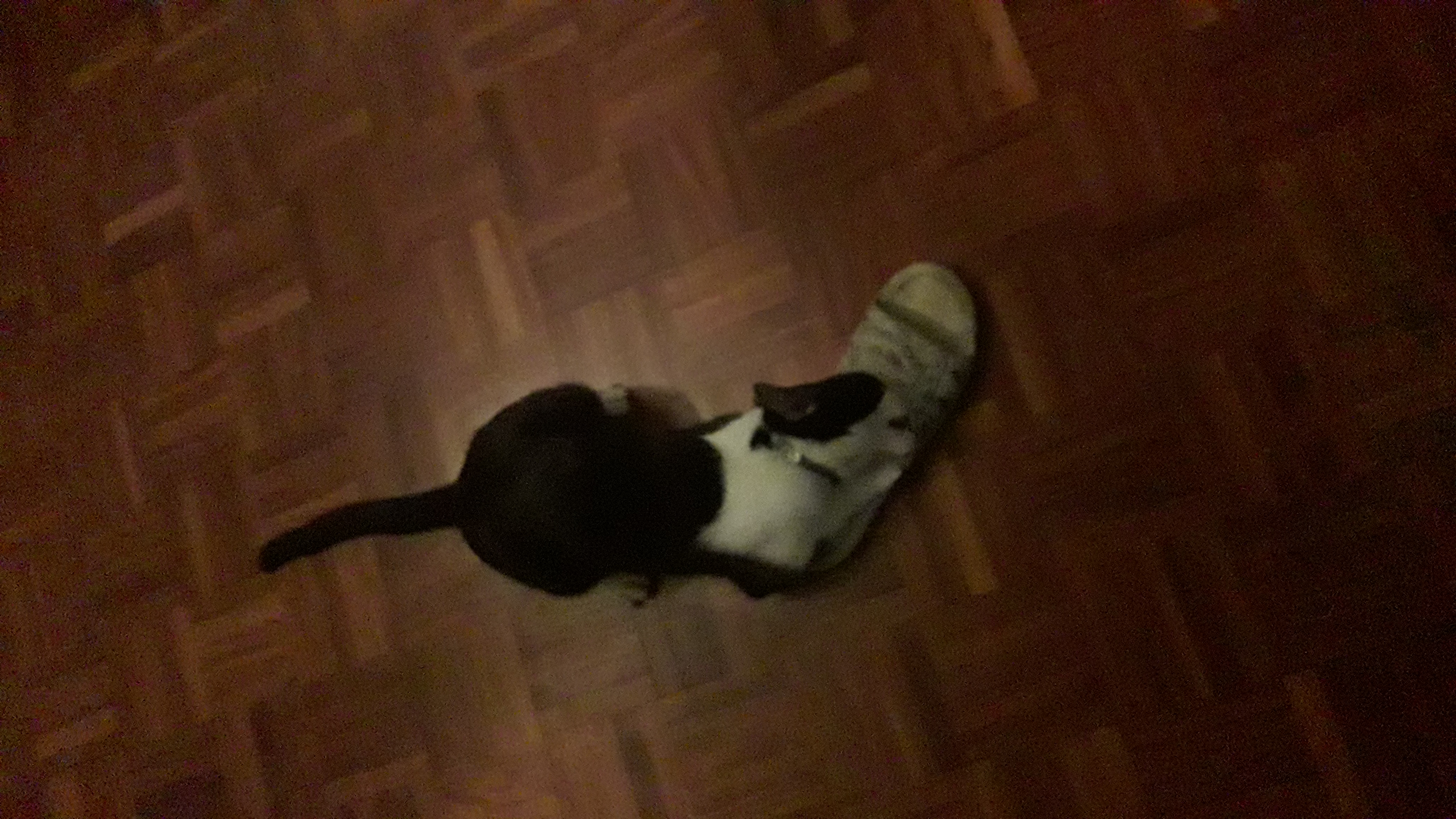 20200731_193910.jpg