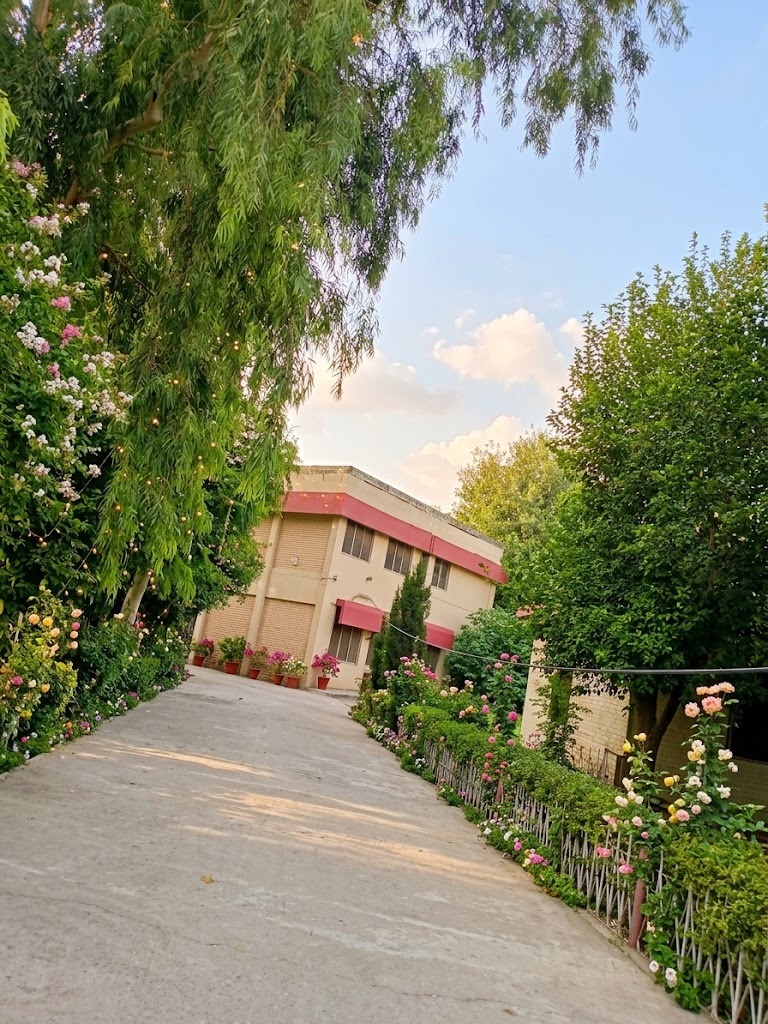 greenery pic 1.jpeg