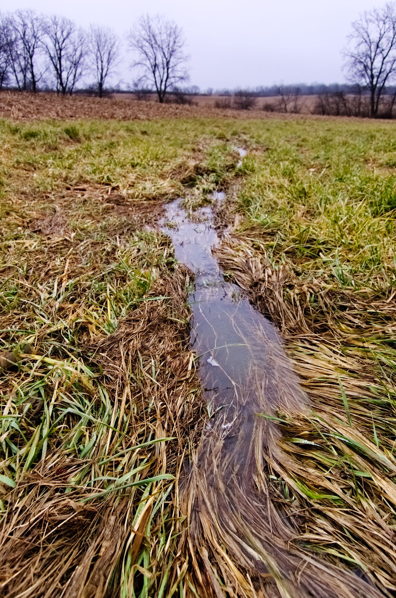 DSC_0803.jpg