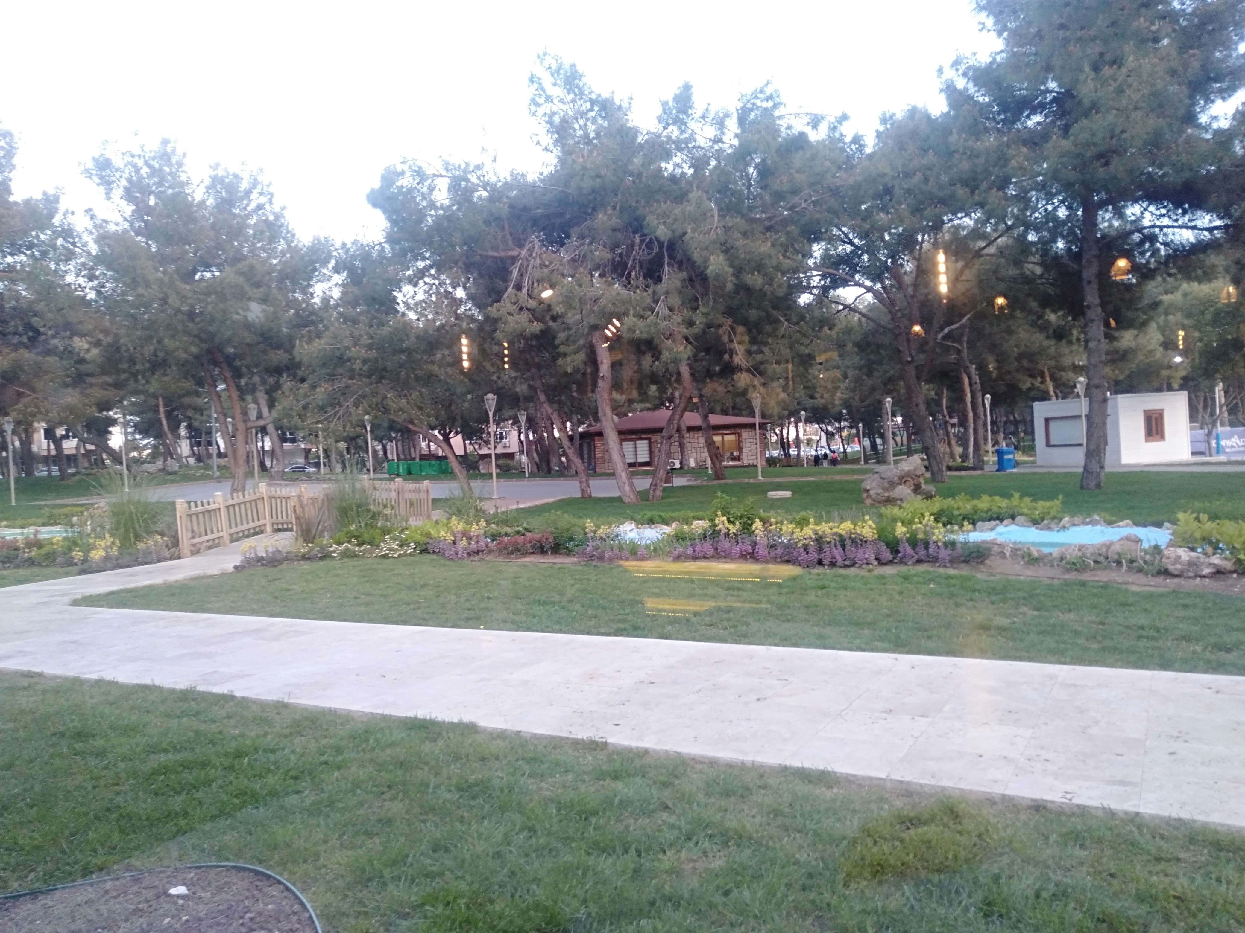 IMG20220415191838.jpg