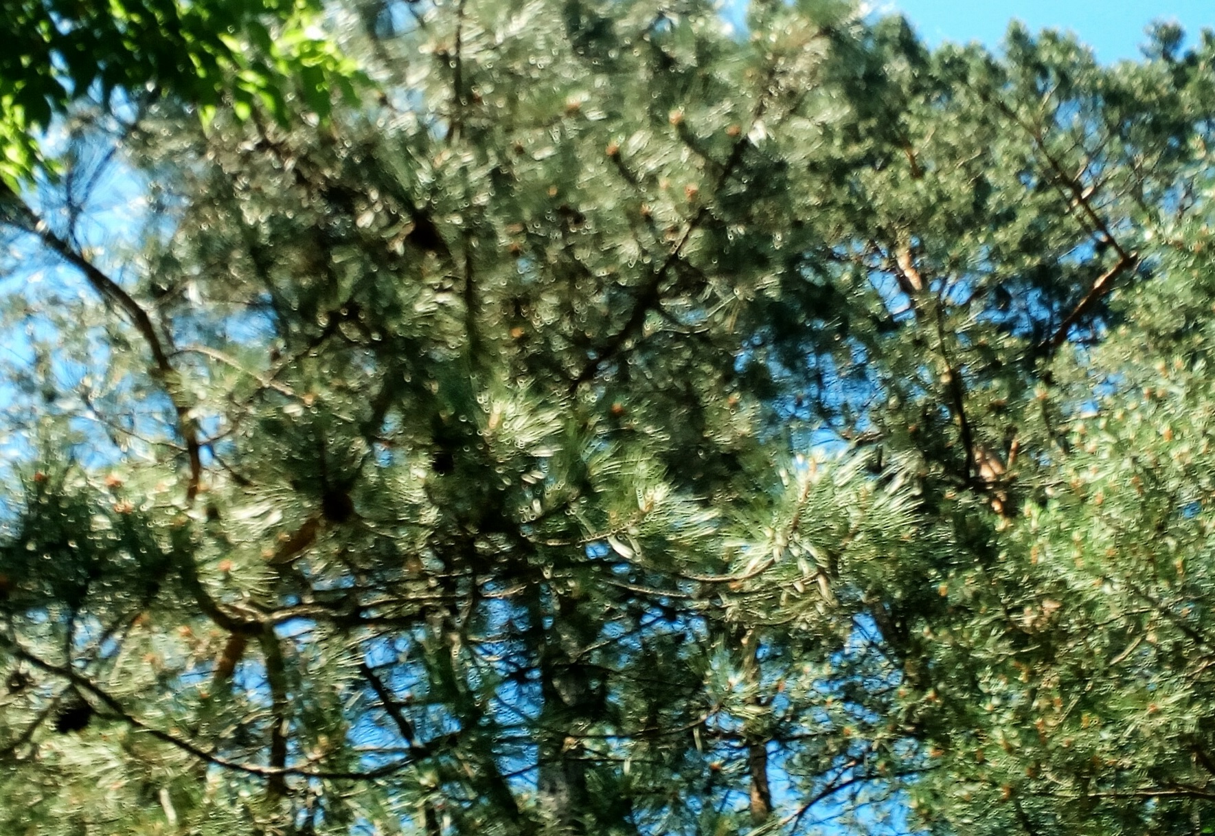 photo12.jpg