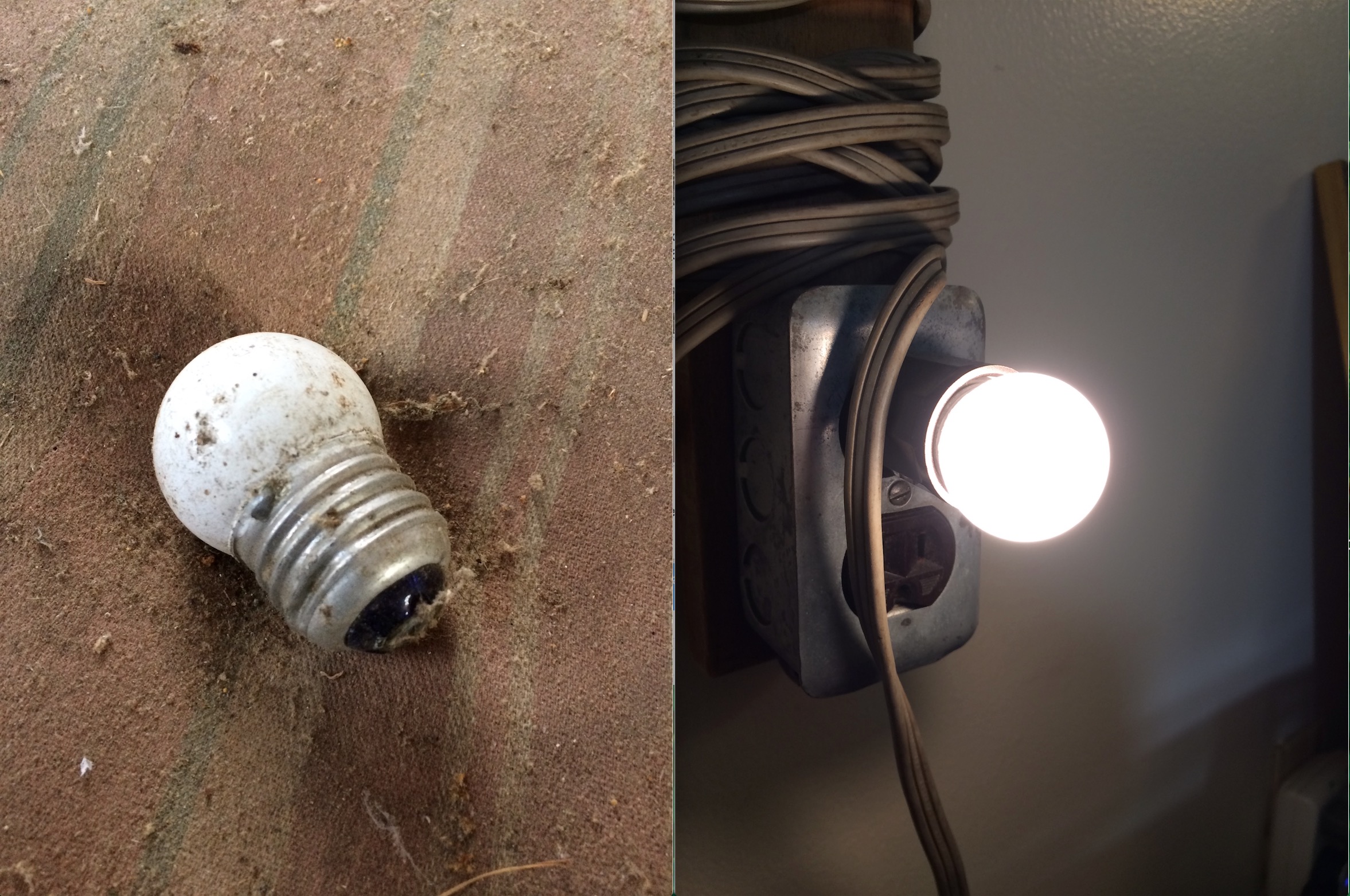 Bulb Works.jpg