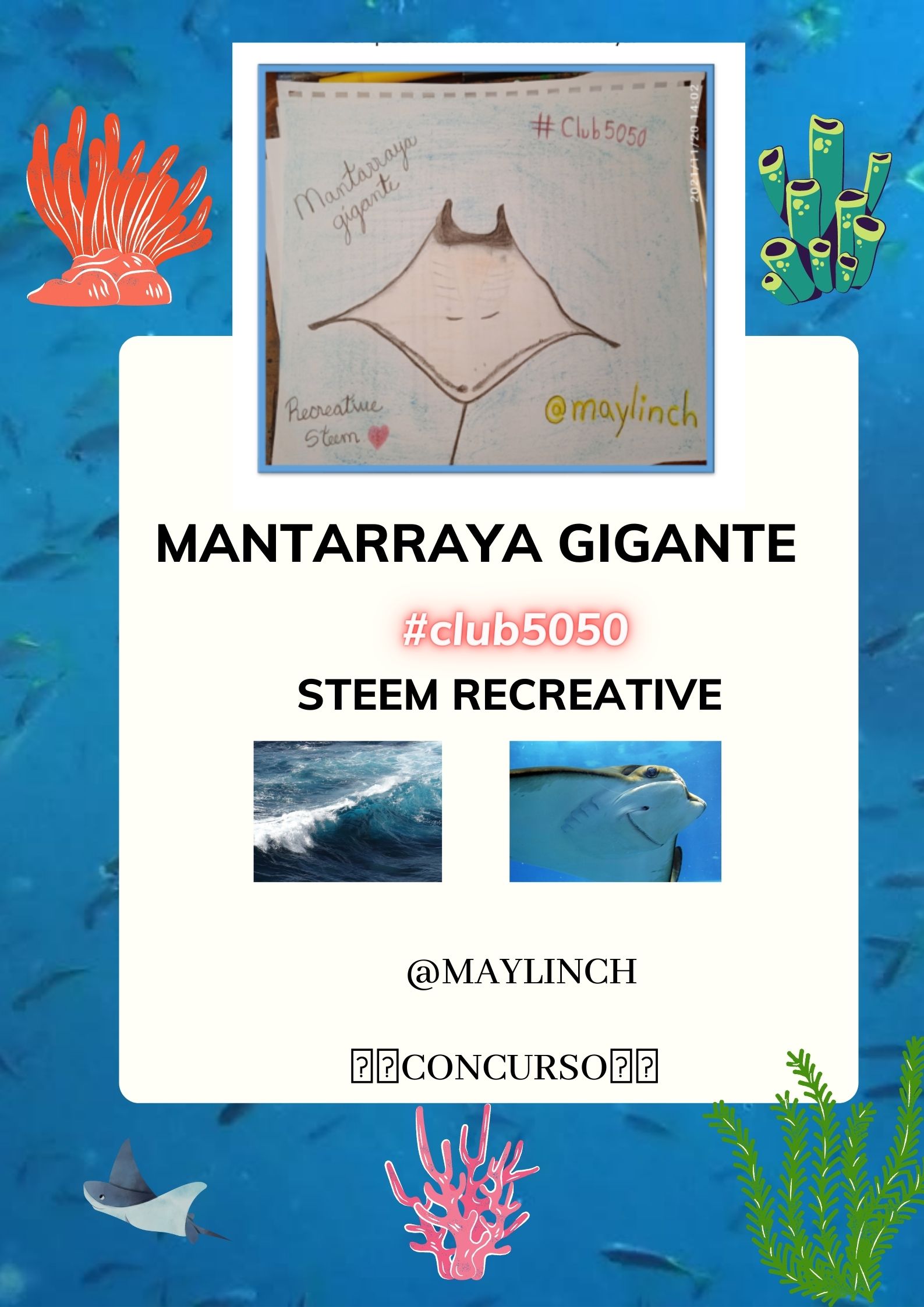 Concurso dibujando animales marinos.jpg