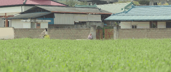 14141.gif