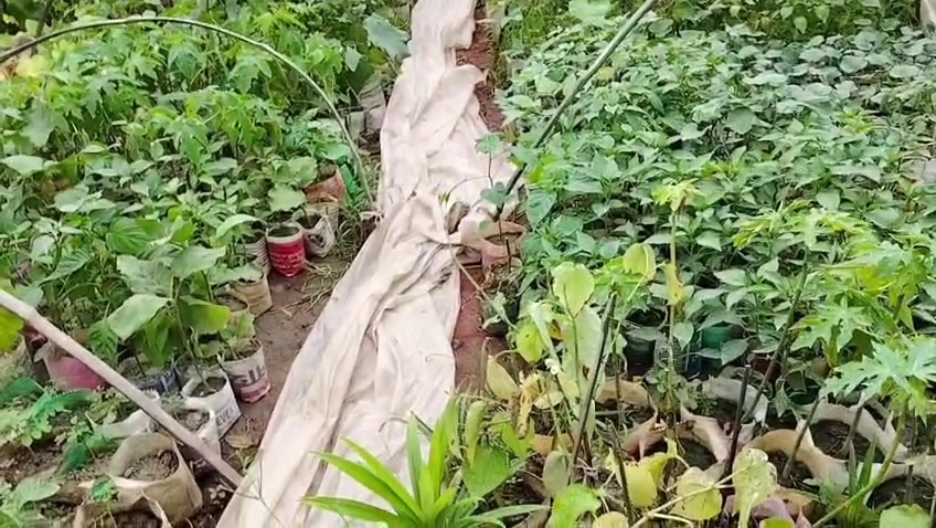 VideoCapture_20260816-201734.jpg