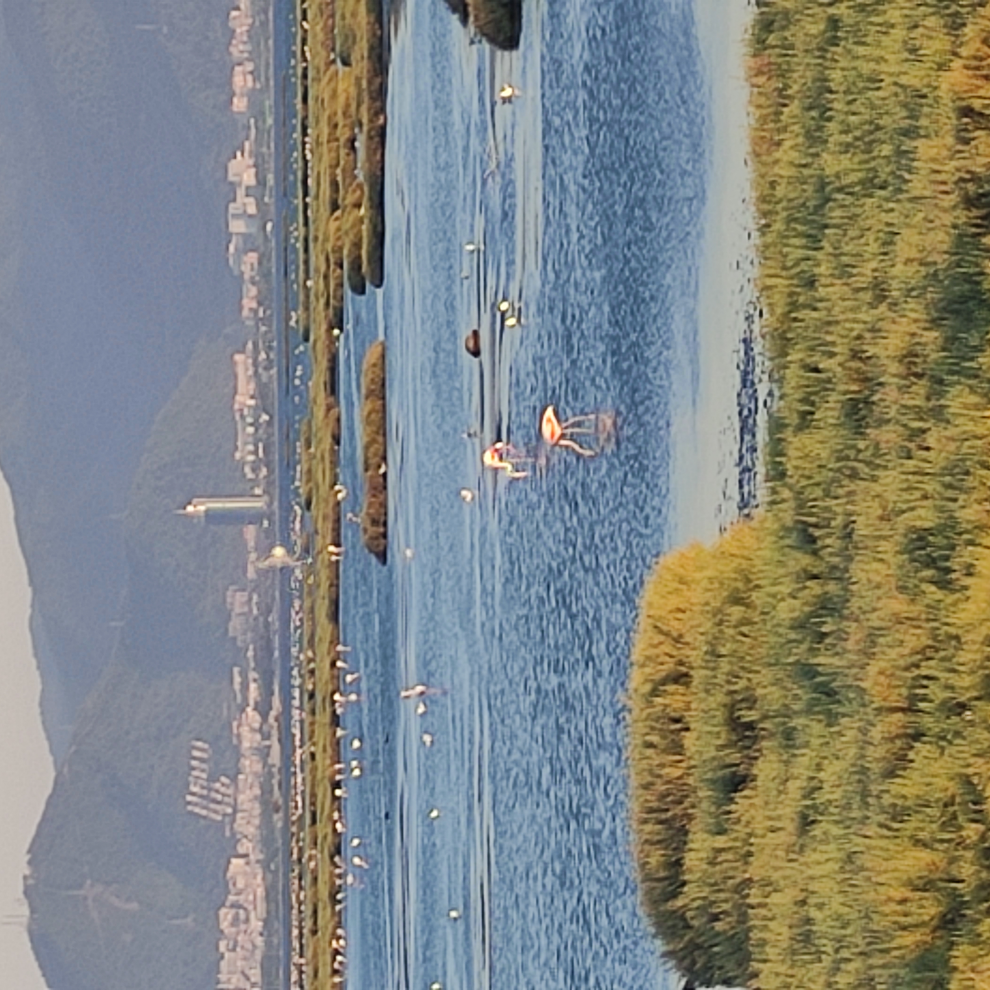 IMG_20210710_200810.jpg