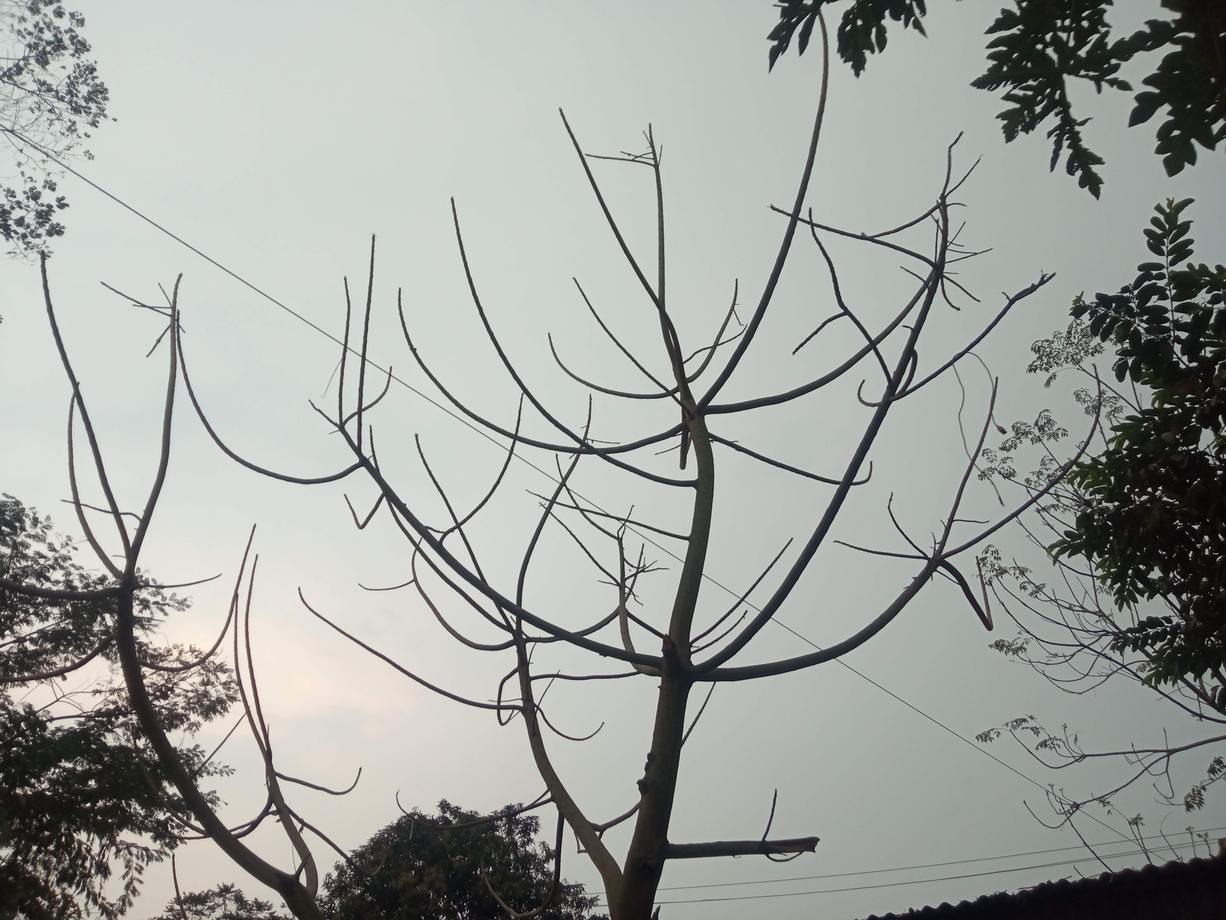 শূণ্যতা (2).jpg