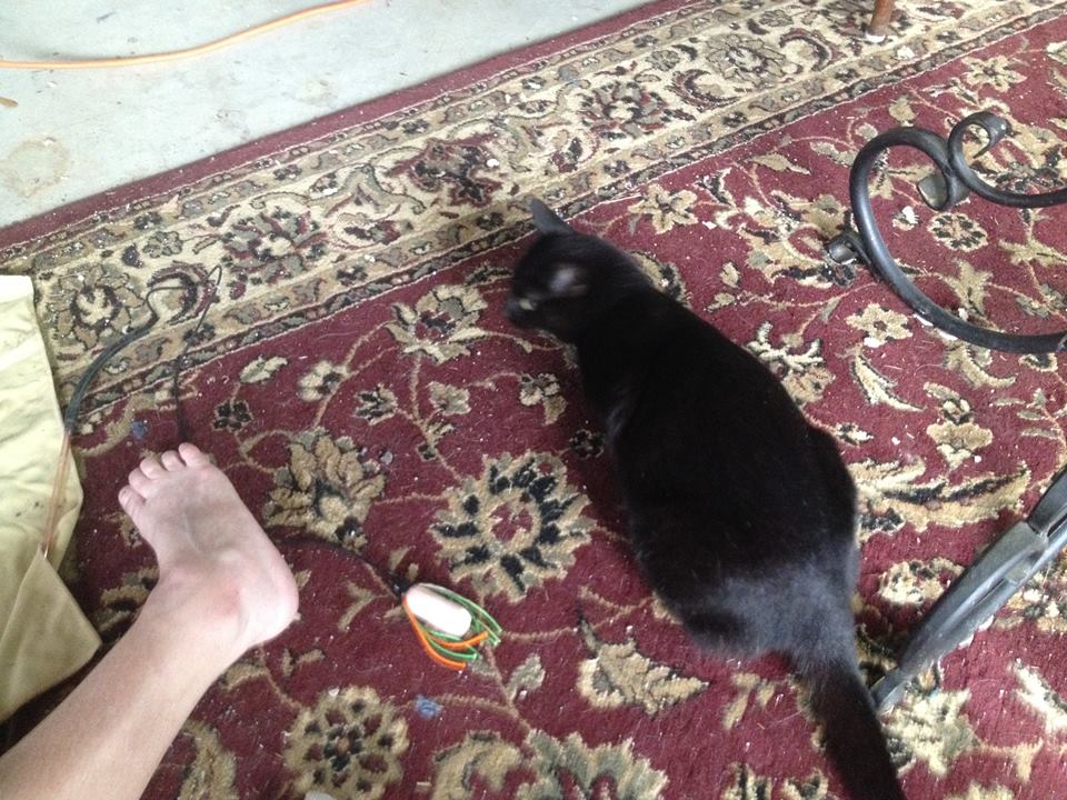 Mommakitty.jpg