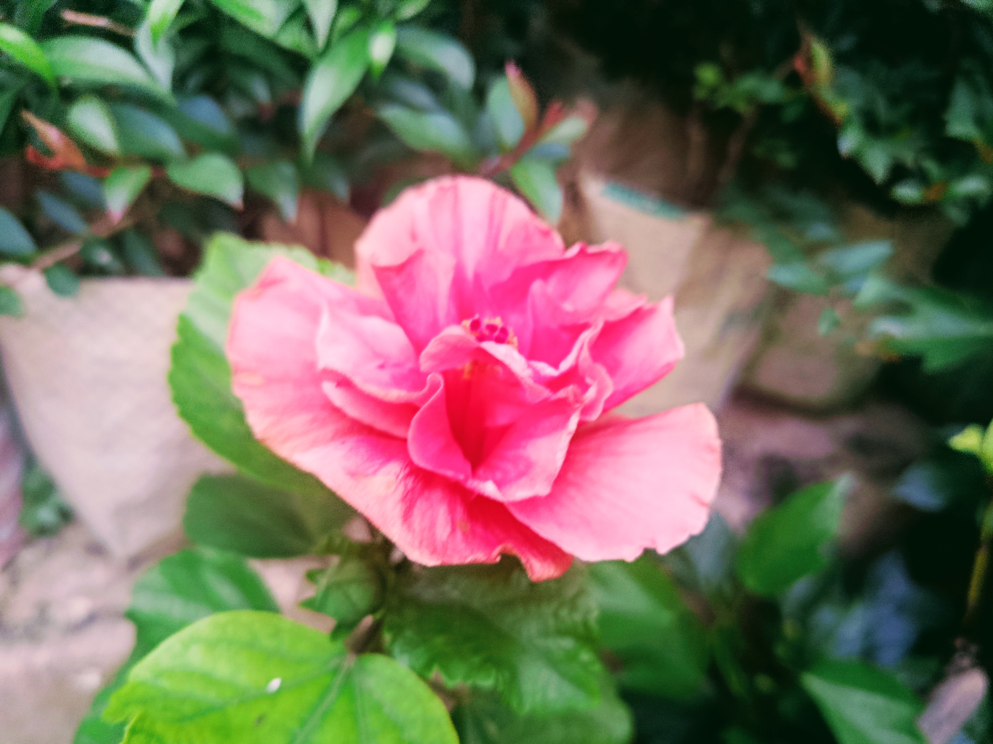 IMG_20260509_181803.jpg