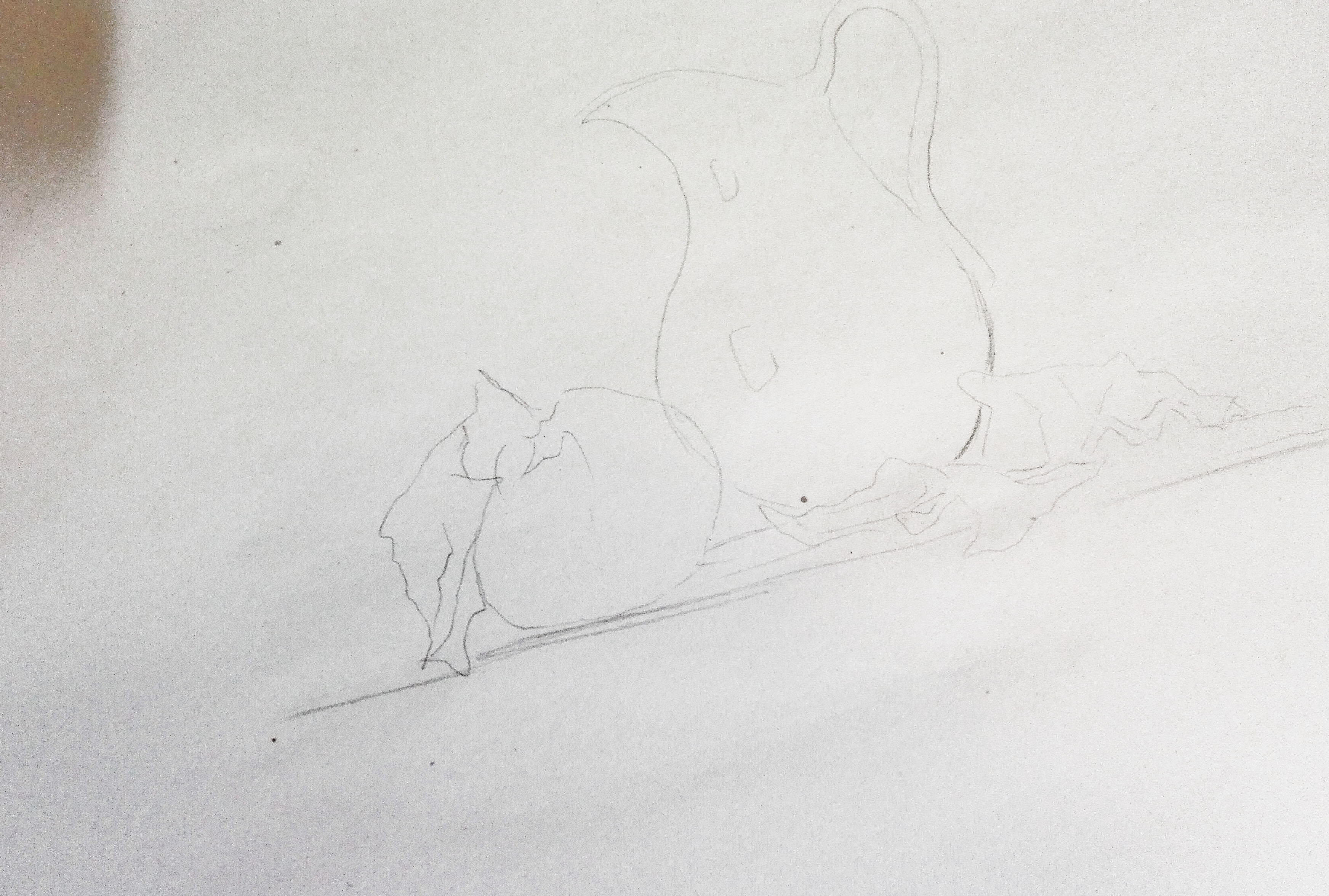 IMG2w003_181549 (1).jpg