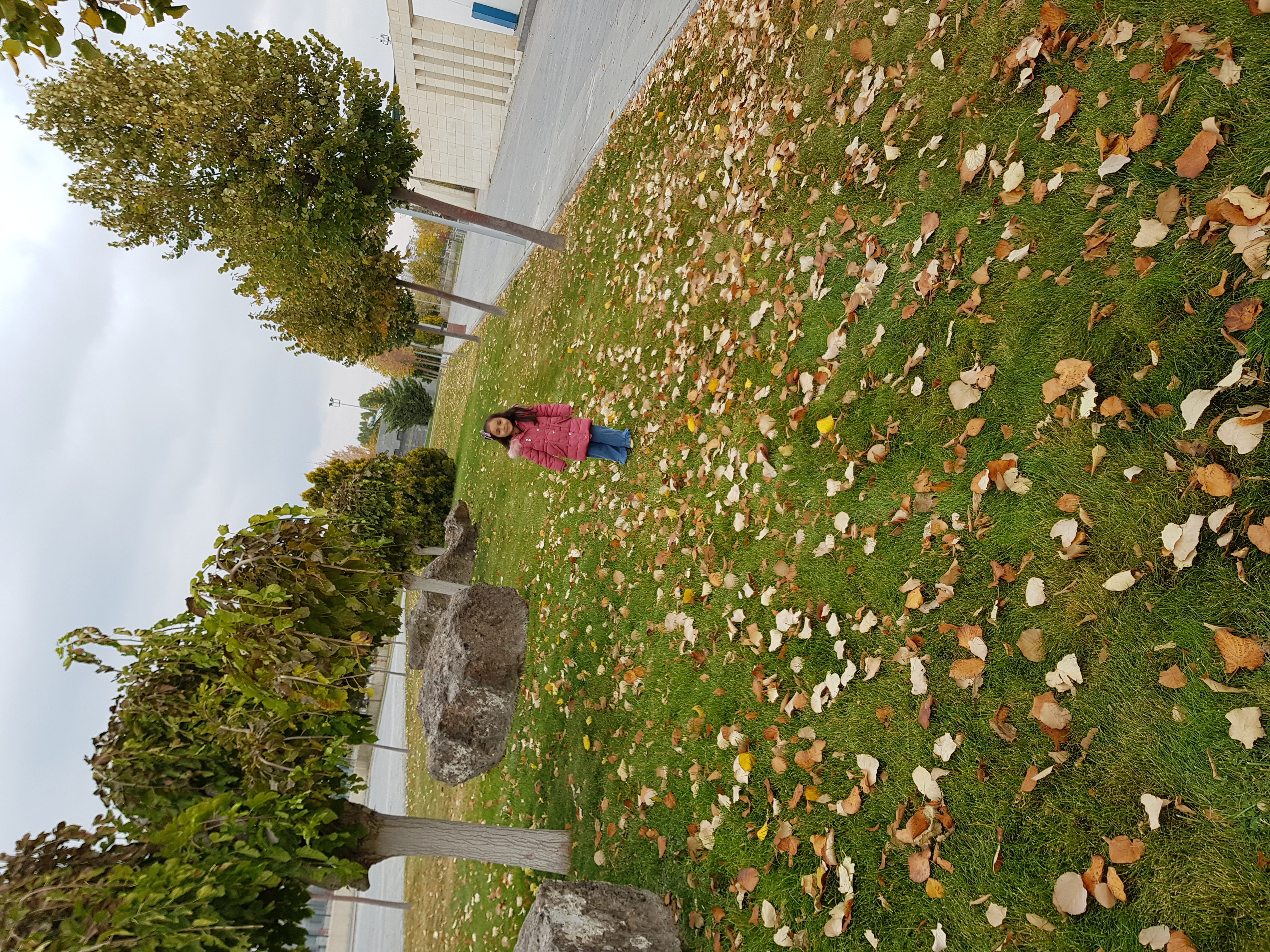 20211029_140659.jpg