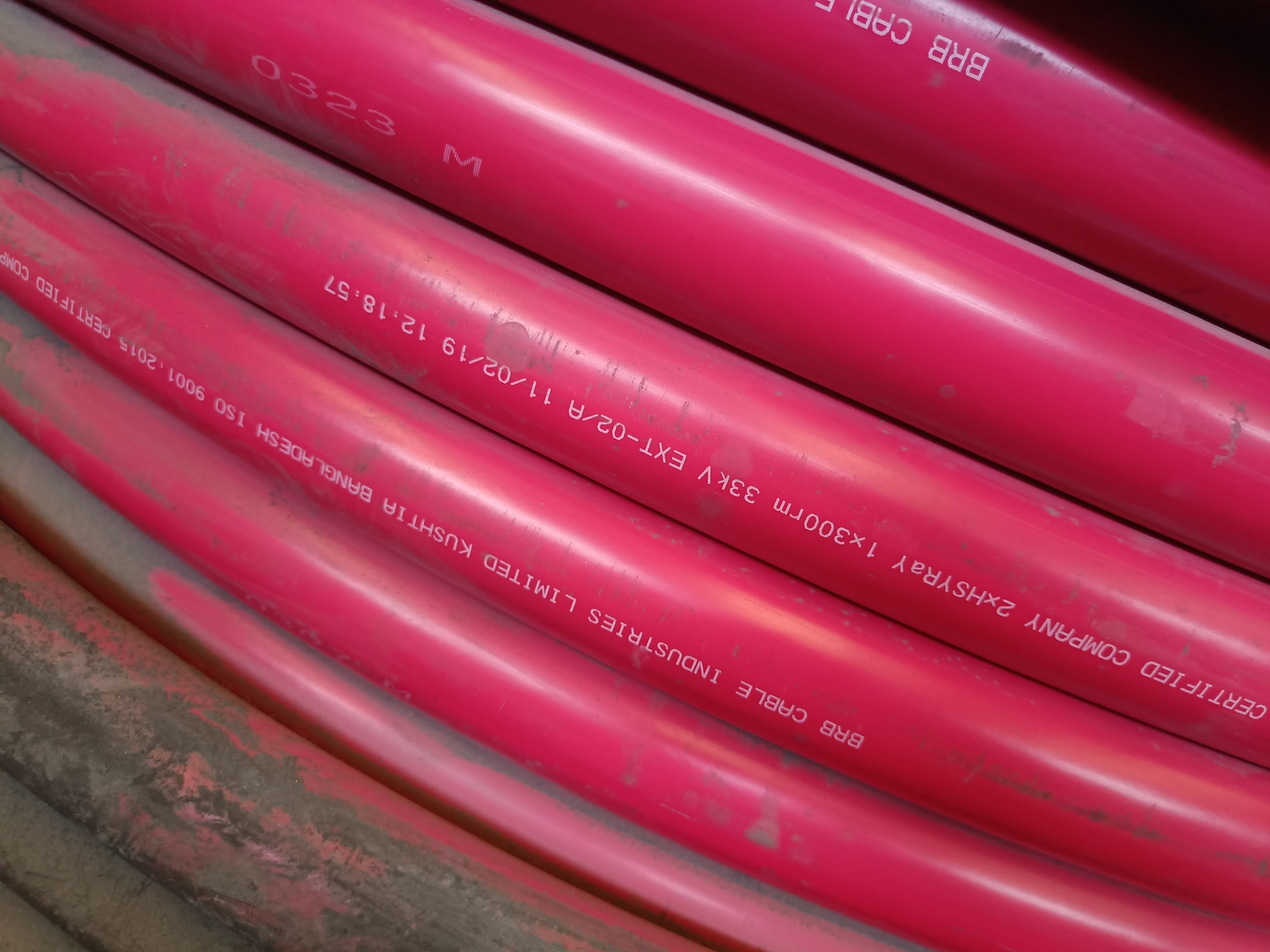 IMG20241201112323.jpg