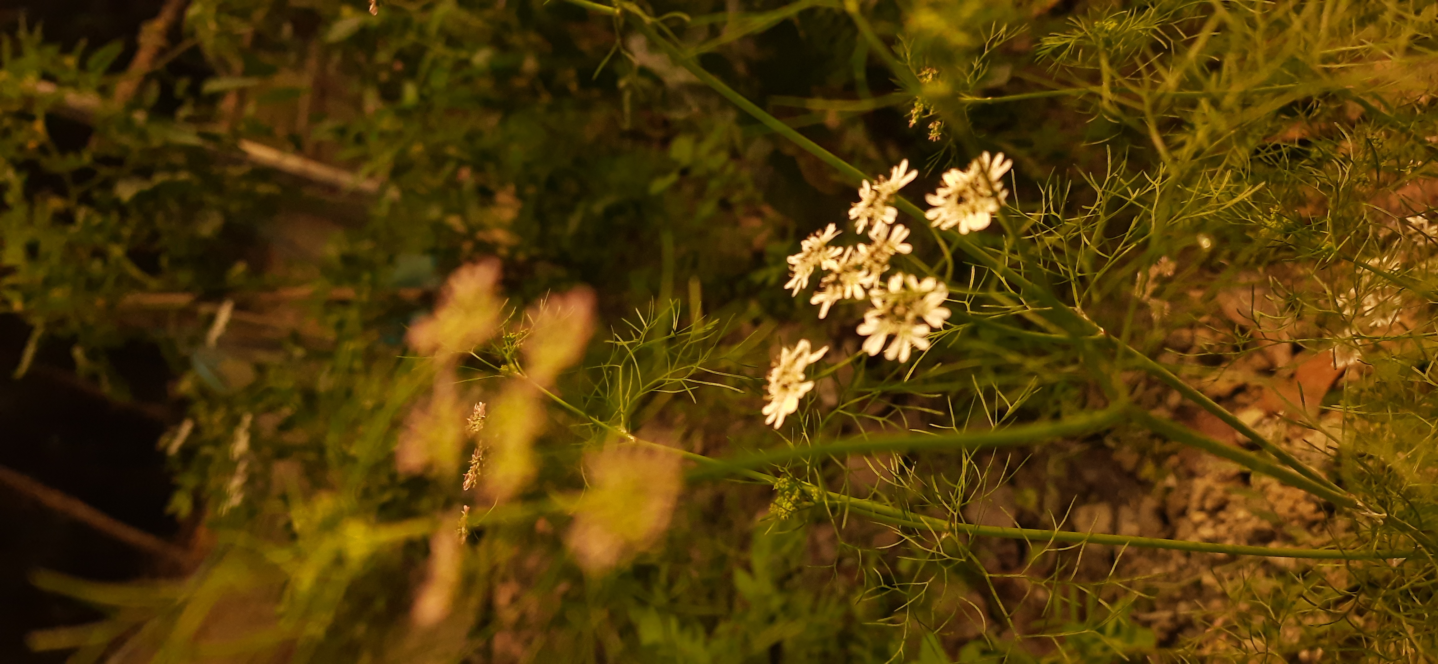 20210130_101104.jpg