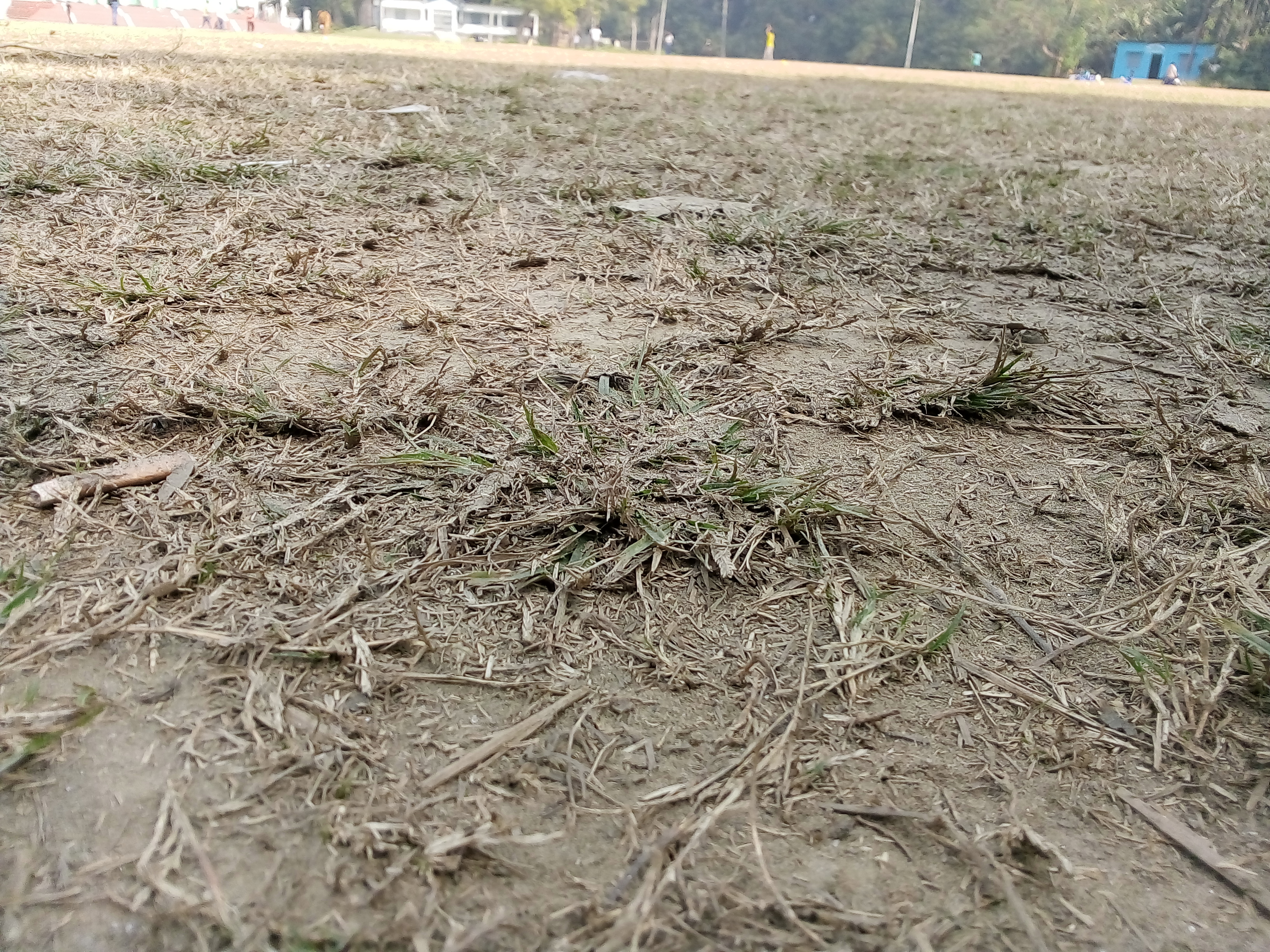 IMG_20201225_122251.jpg