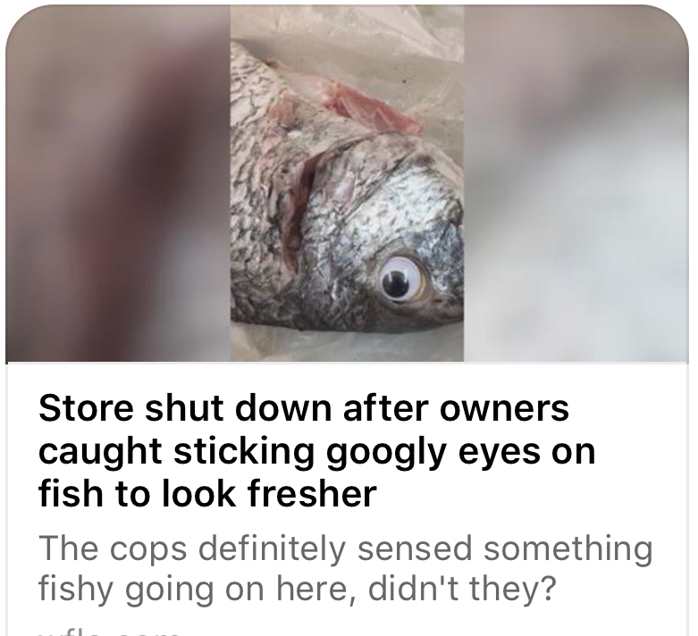 0F8FC635-5C4E-4425-ADDF-E3C310E2E6E2.jpeg