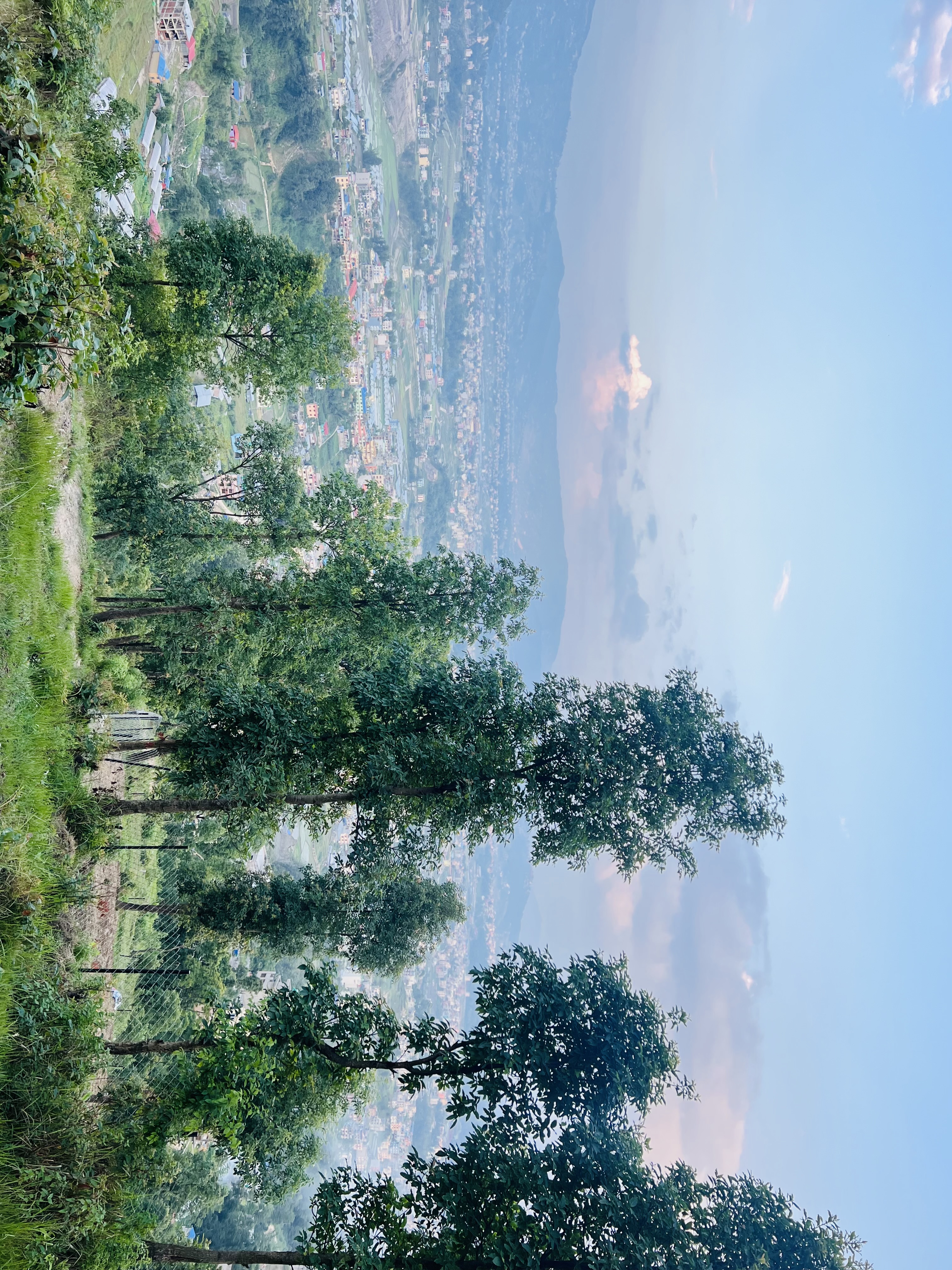 IMG_2016.jpeg