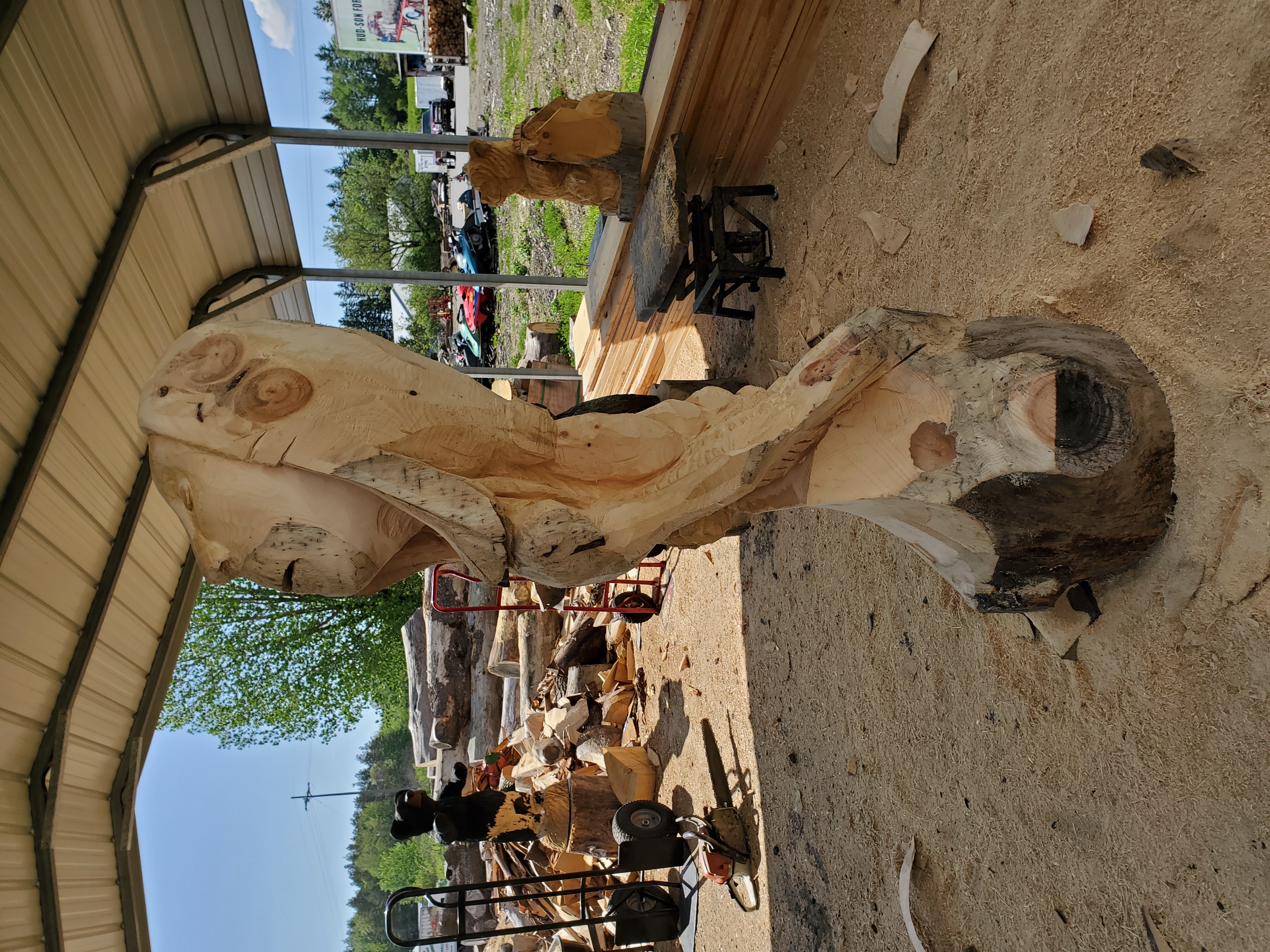 20190527_154353.jpg